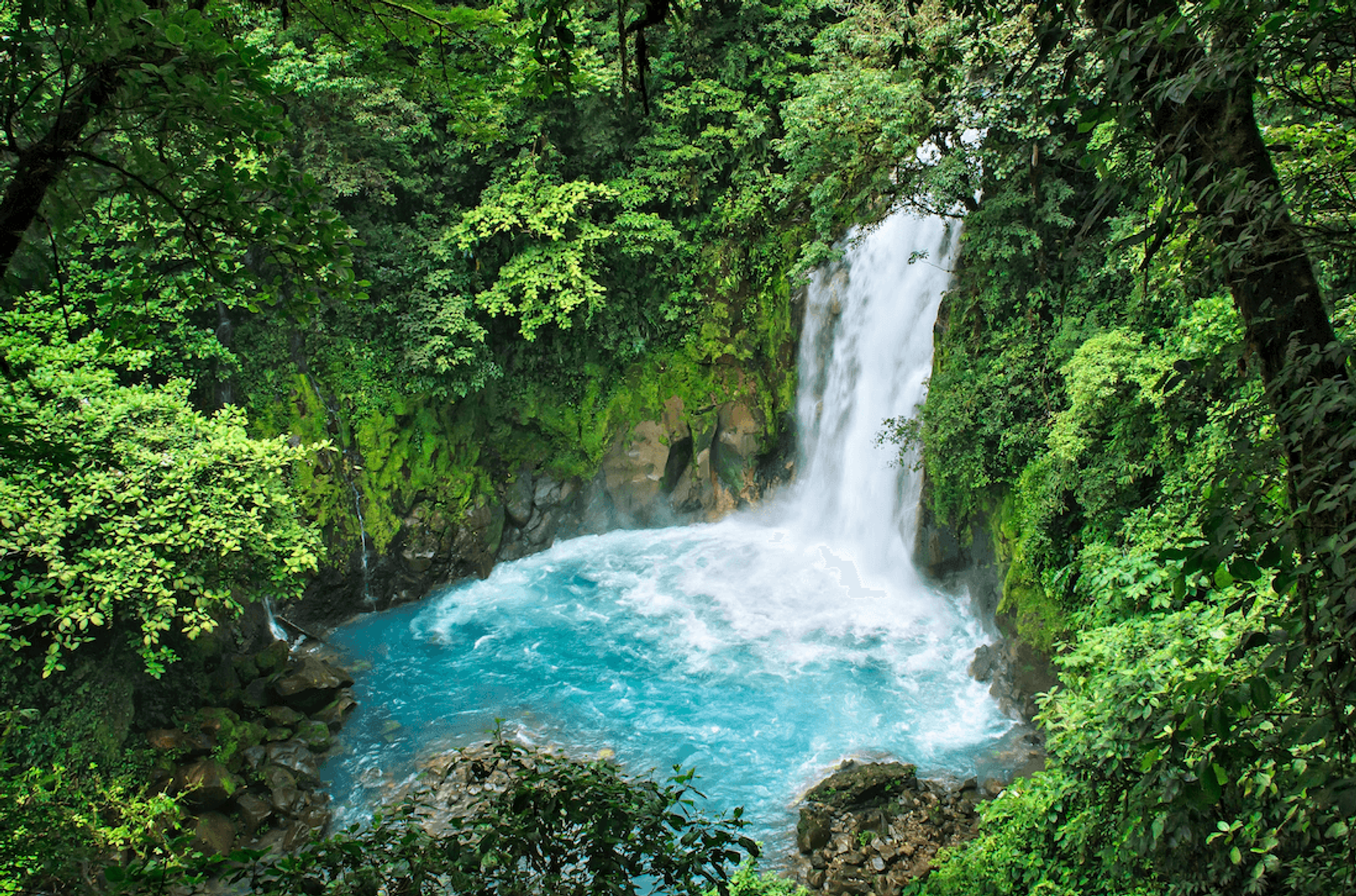 A waterfall tumbling through the jungle into a pool below