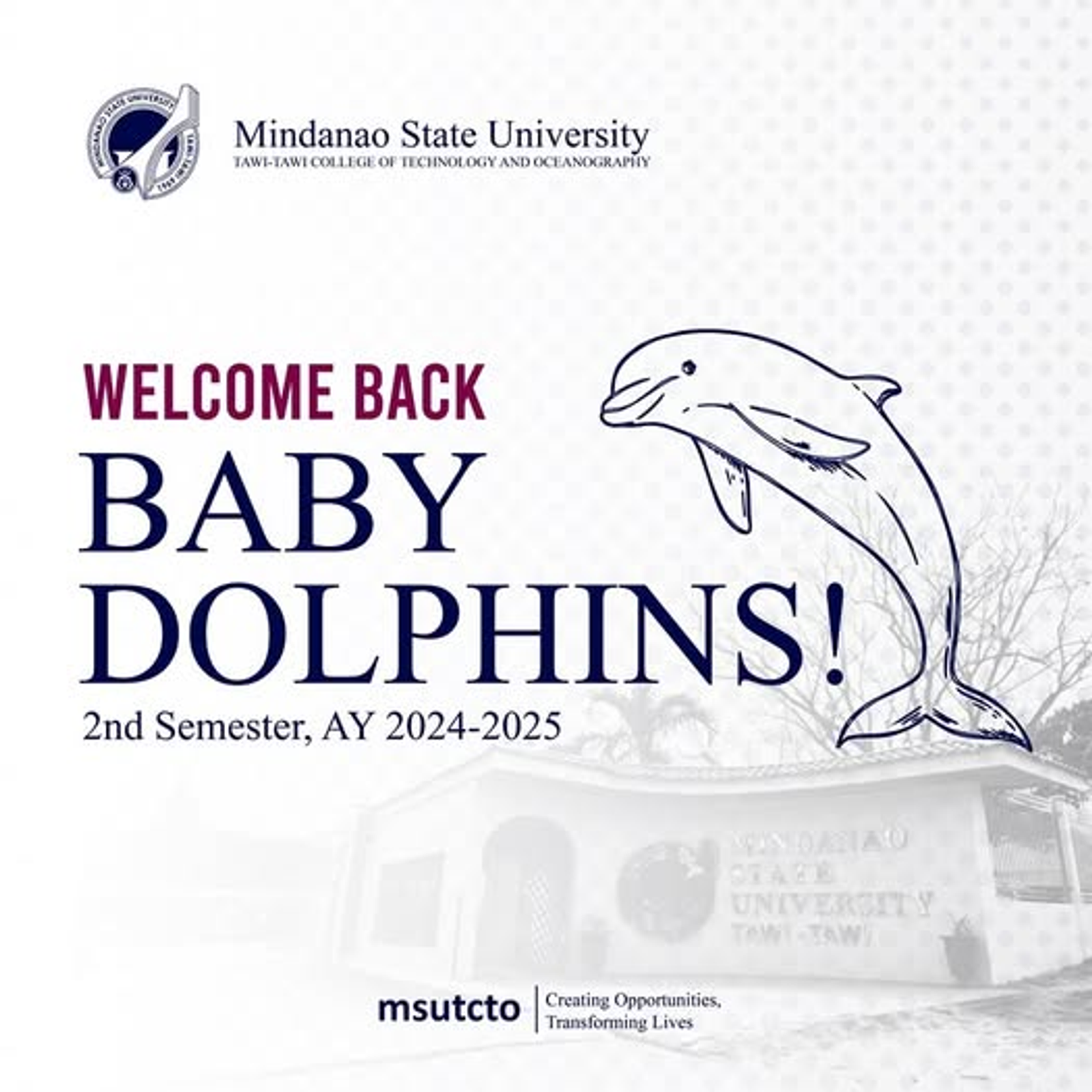 Warm greetings to our dearest Baby Dolphins!