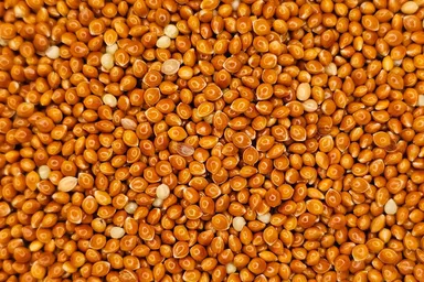 A close-up macro shot of whole-grain red millet seeds, showcasing their rich, deep reddish-brown color.