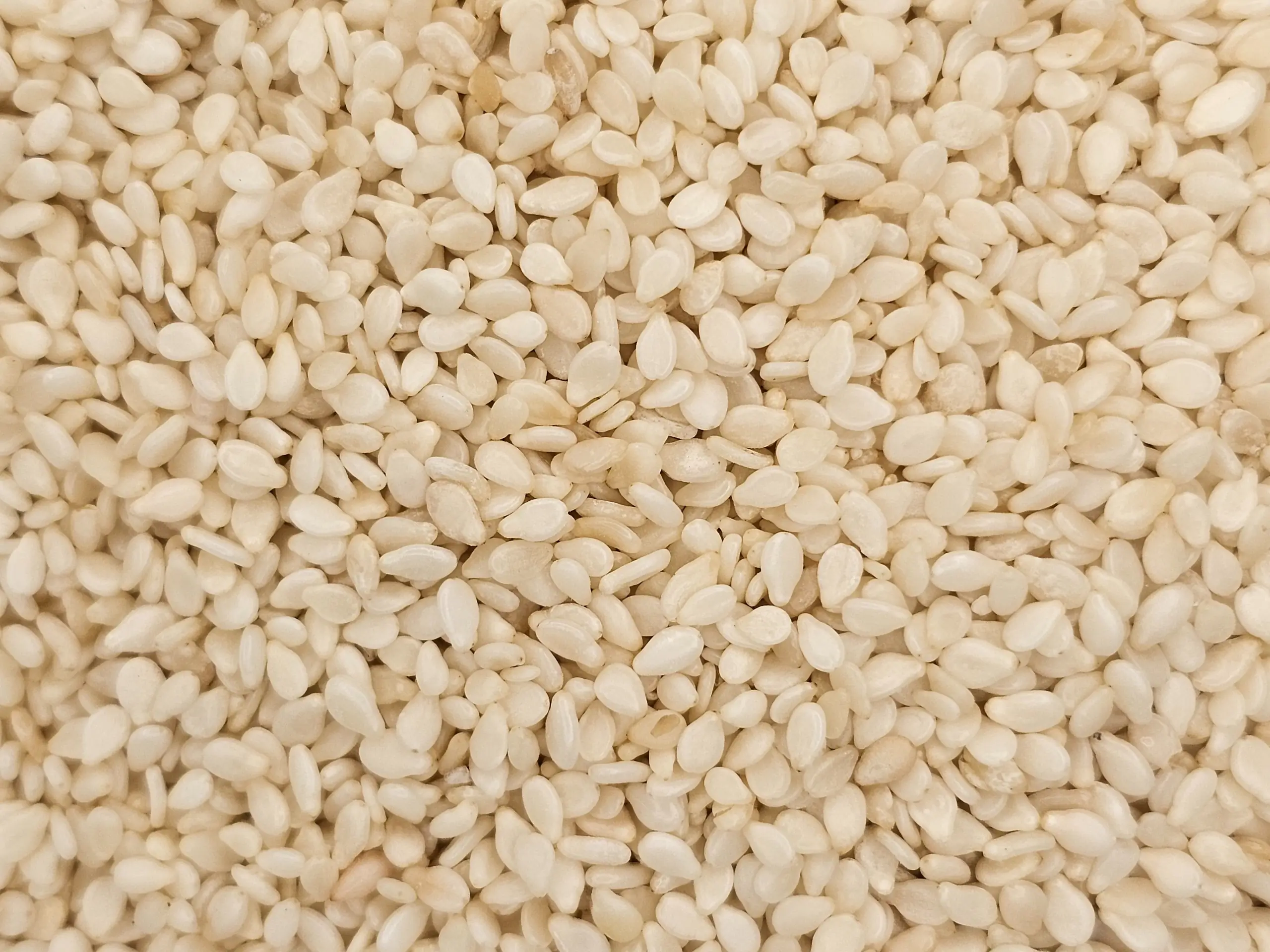 Close-up view of a large pile of hulled sesame seeds, small and oval-shaped, off-white in color, densely packed together.