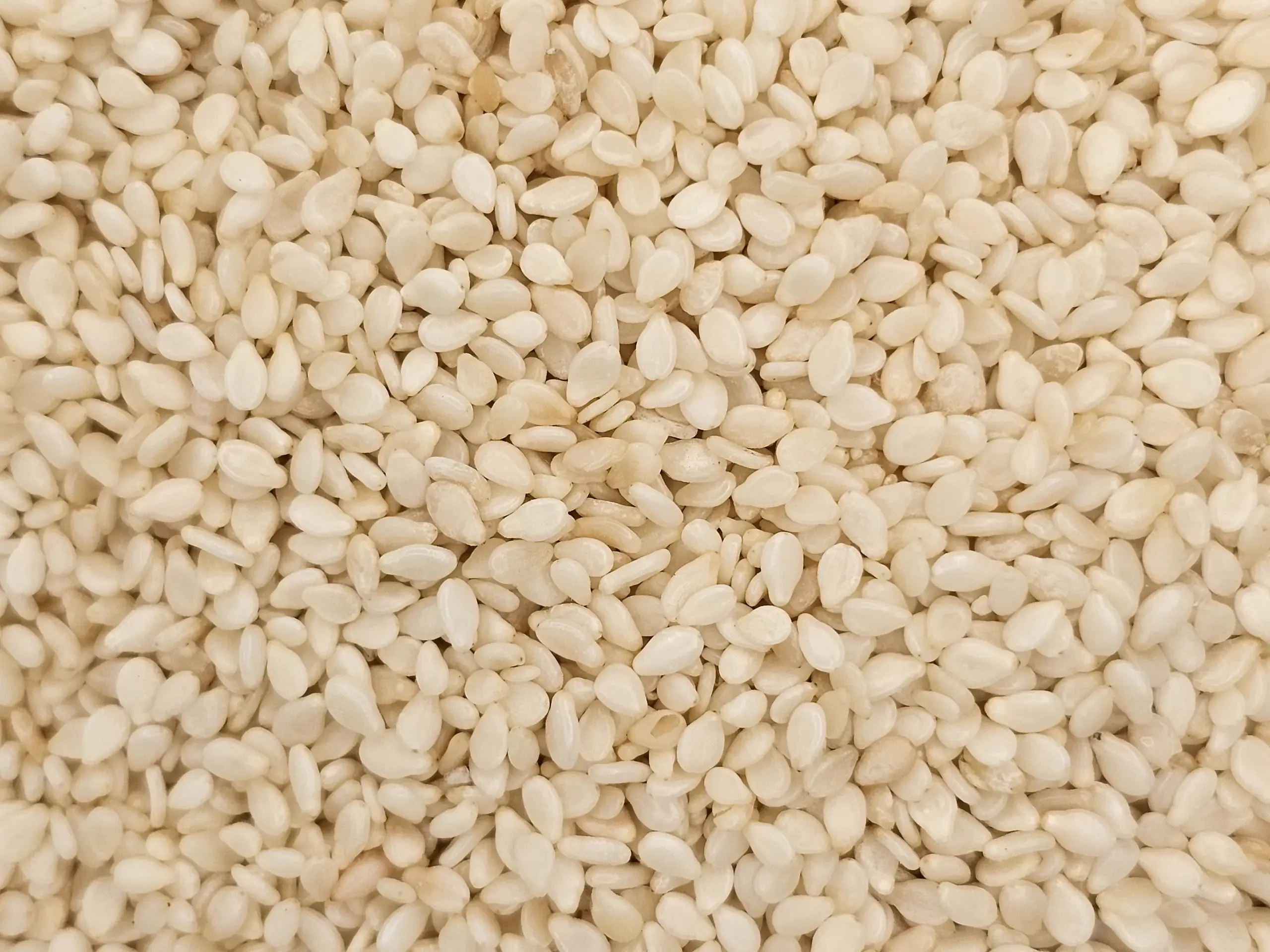 Close-up view of a large pile of hulled sesame seeds, small and oval-shaped, off-white in color, densely packed together.