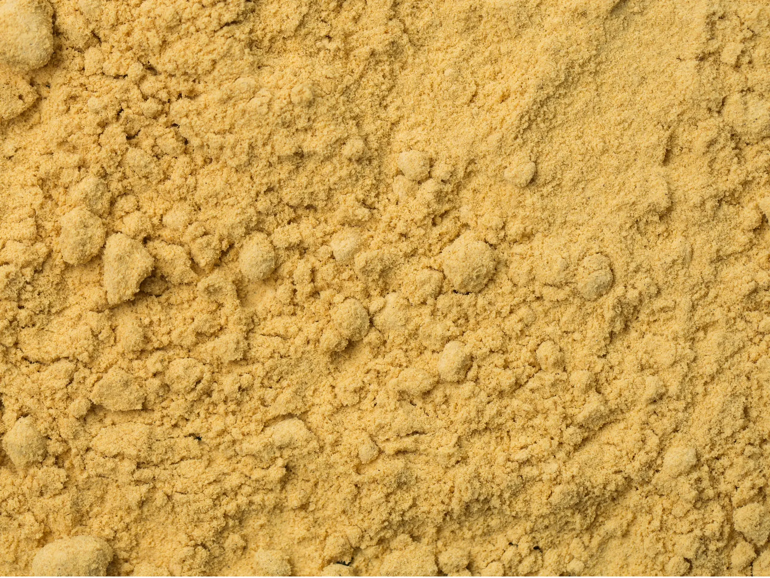 A close-up of fine, De-oiled Oriental Mustard Flour, showing its texture and rich color.