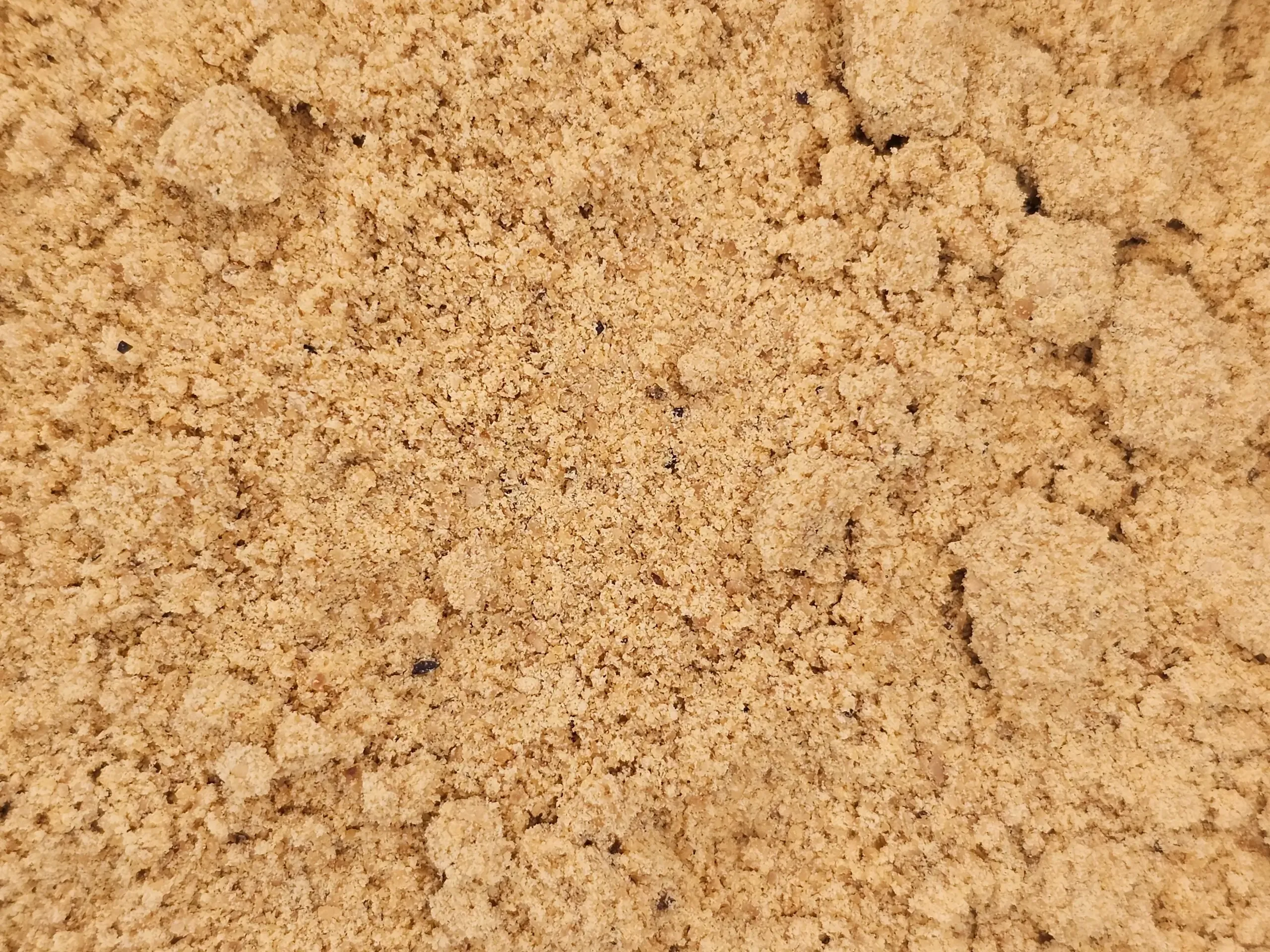 A close-up of coarse Whole Ground Oriental Mustard, showing its granular texture and rich color.