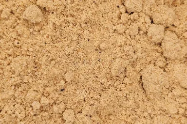 A close-up of coarse Whole Ground Oriental Mustard, showing its granular texture and rich color.