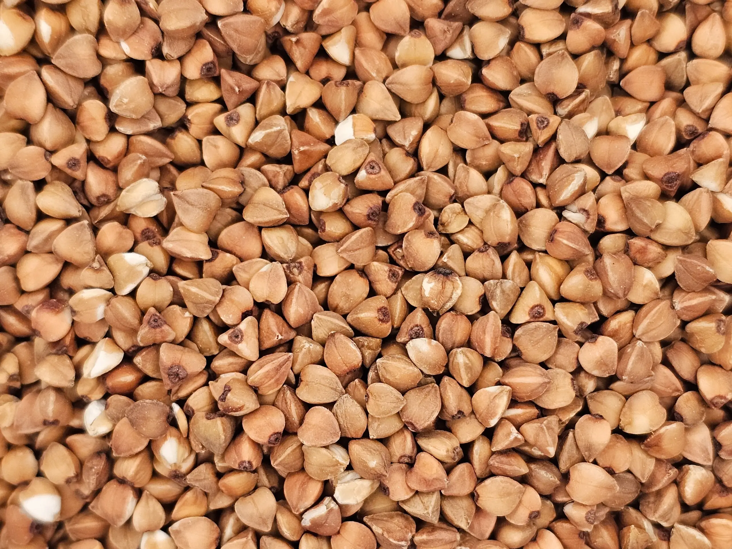 A close-up of reddish-brown Roasted Buckwheat Groats (Kasha), highlighting their toasted color and texture.
