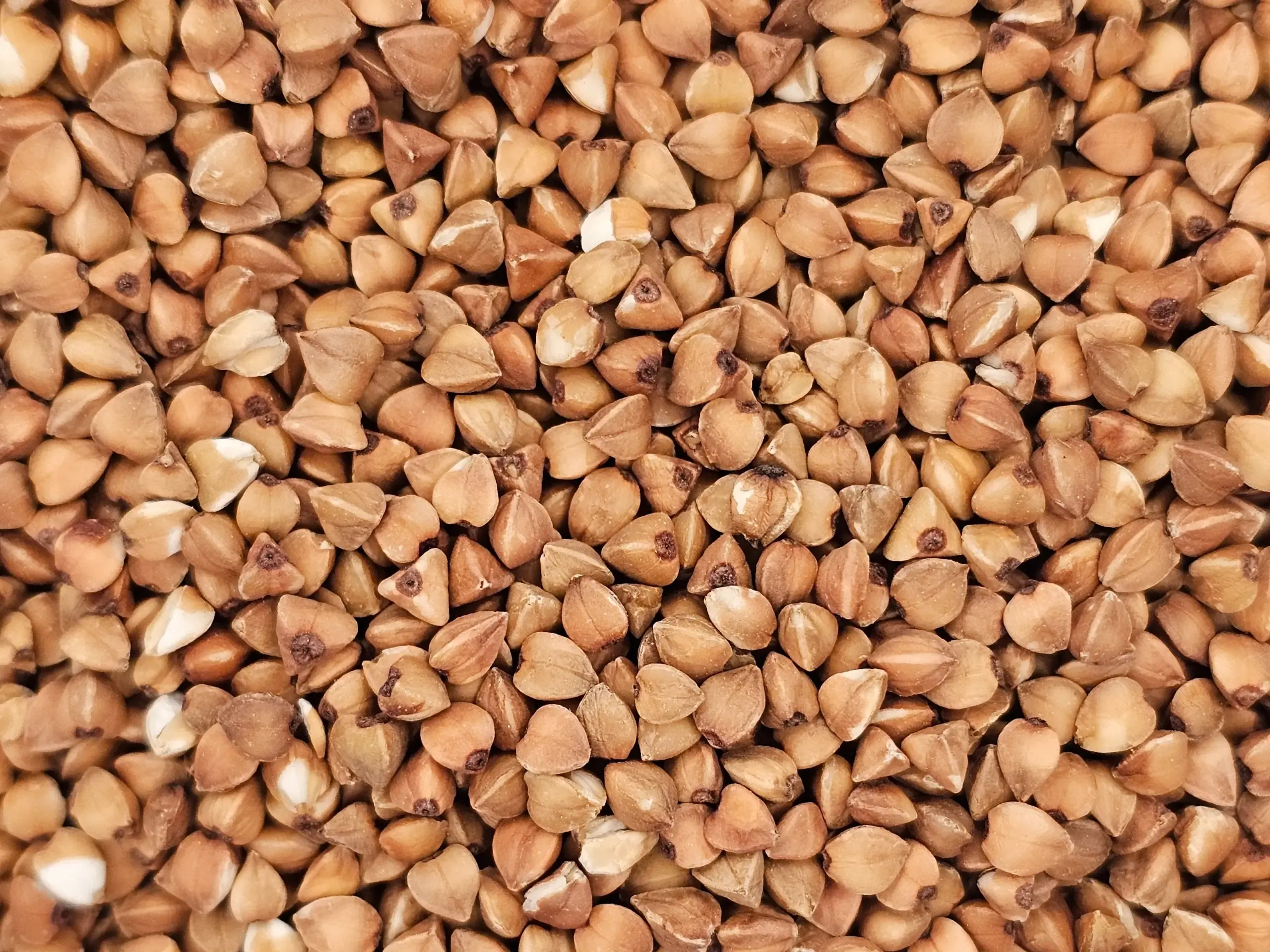A close-up of reddish-brown Roasted Buckwheat Groats (Kasha), highlighting their toasted color and texture.