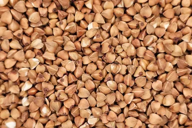 A close-up of reddish-brown Roasted Buckwheat Groats (Kasha), highlighting their toasted color and texture.