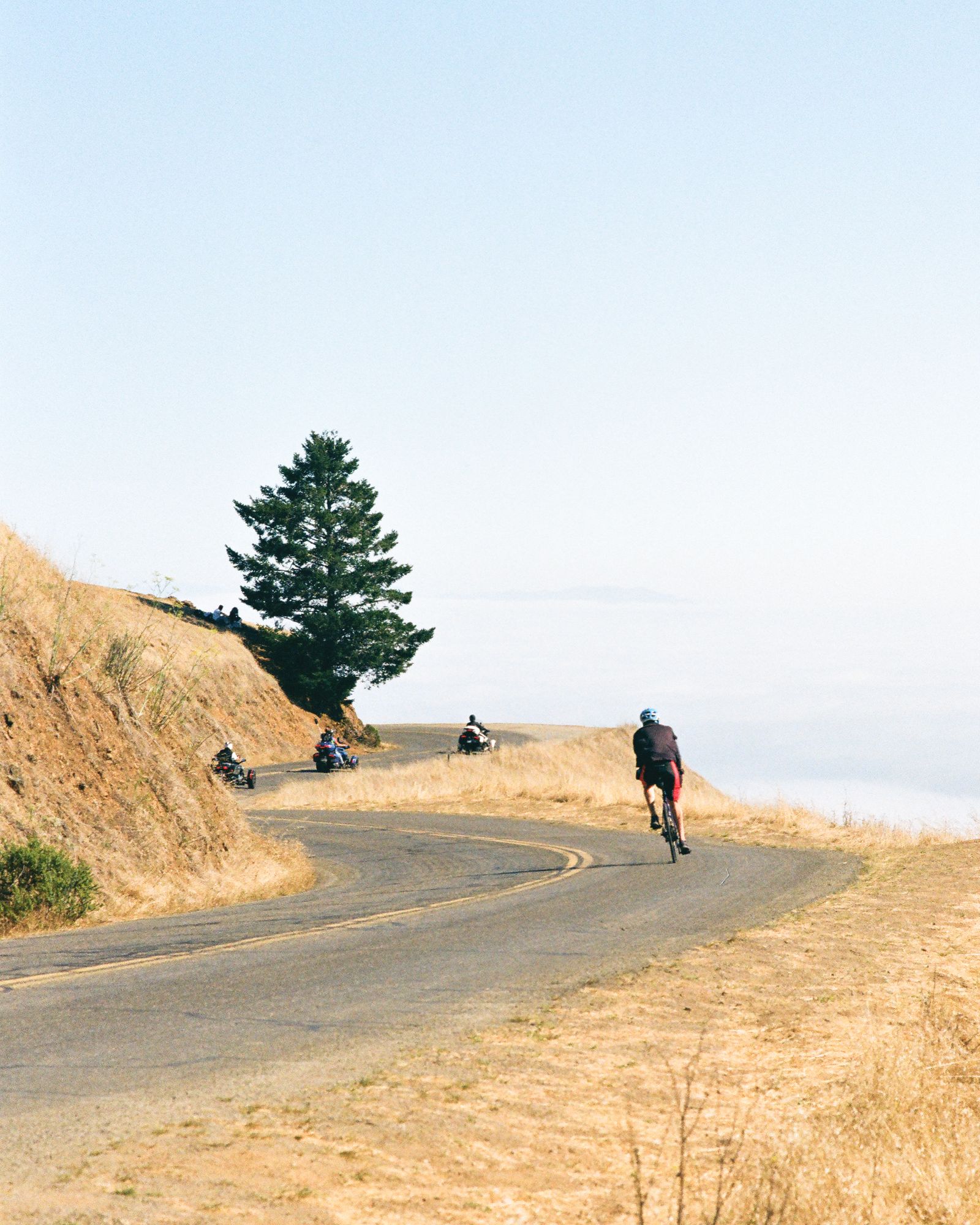 A cyclist climbs a switchback on a ridge road past three parked motorcycles and a single wind-shaped pine, fog banked below the hillside.