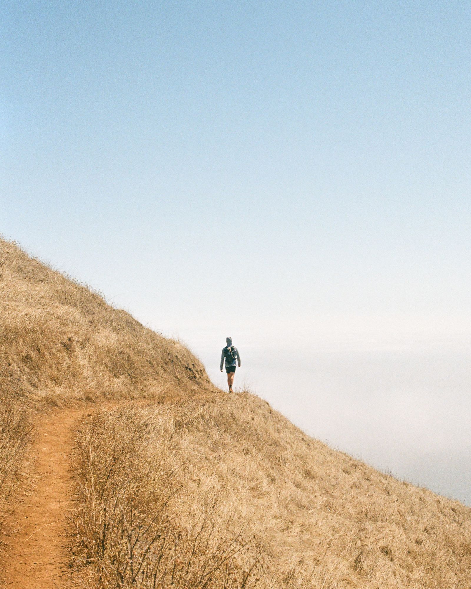A hiker in a dark jacket walks a narrow dirt trail along a golden grass ridge, a flat sea of fog filling the valley beyond.