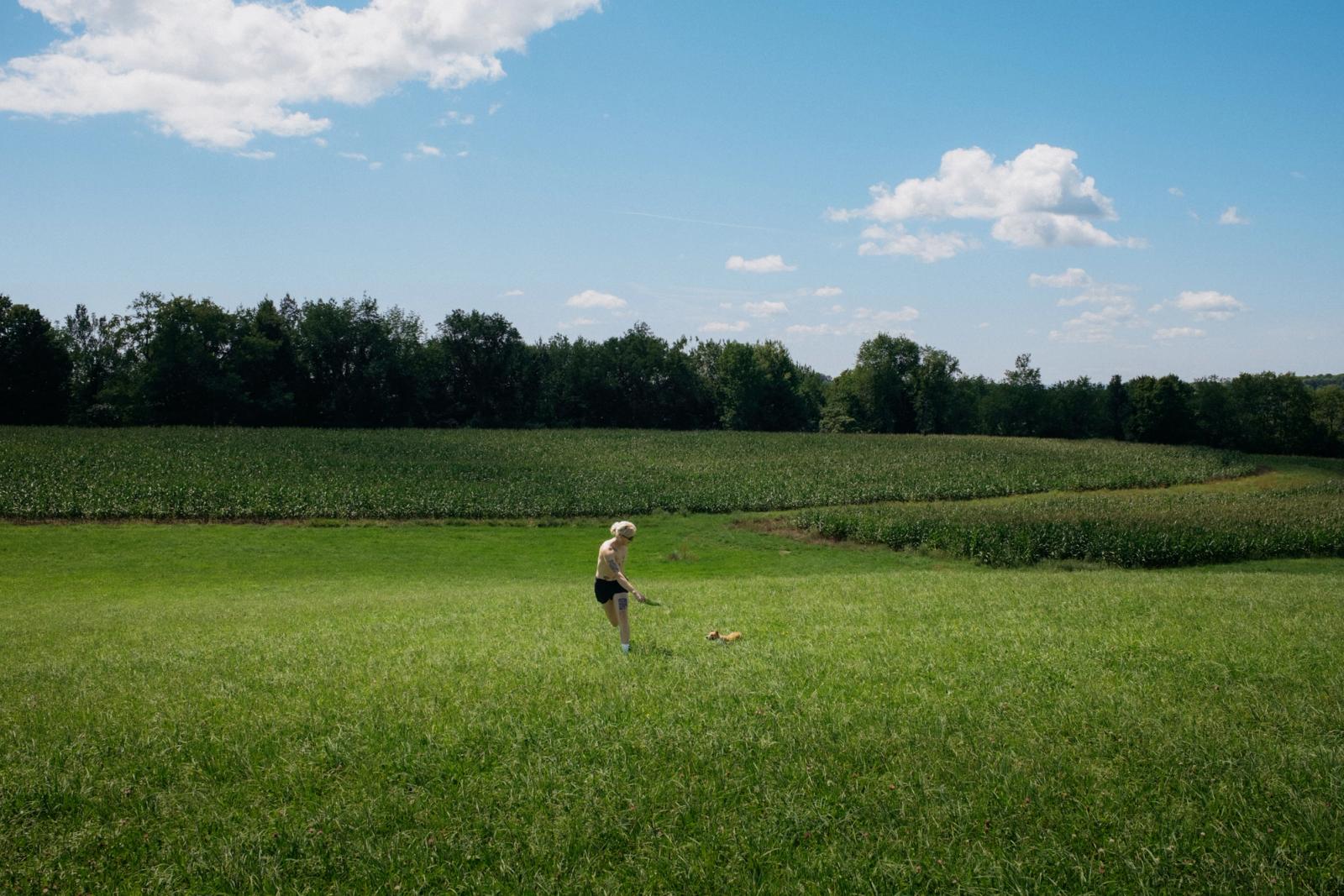 A lone figure walks a small dog across a wide mown field toward a band of corn and dark treeline, under a deep blue sky with scattered cumulus.