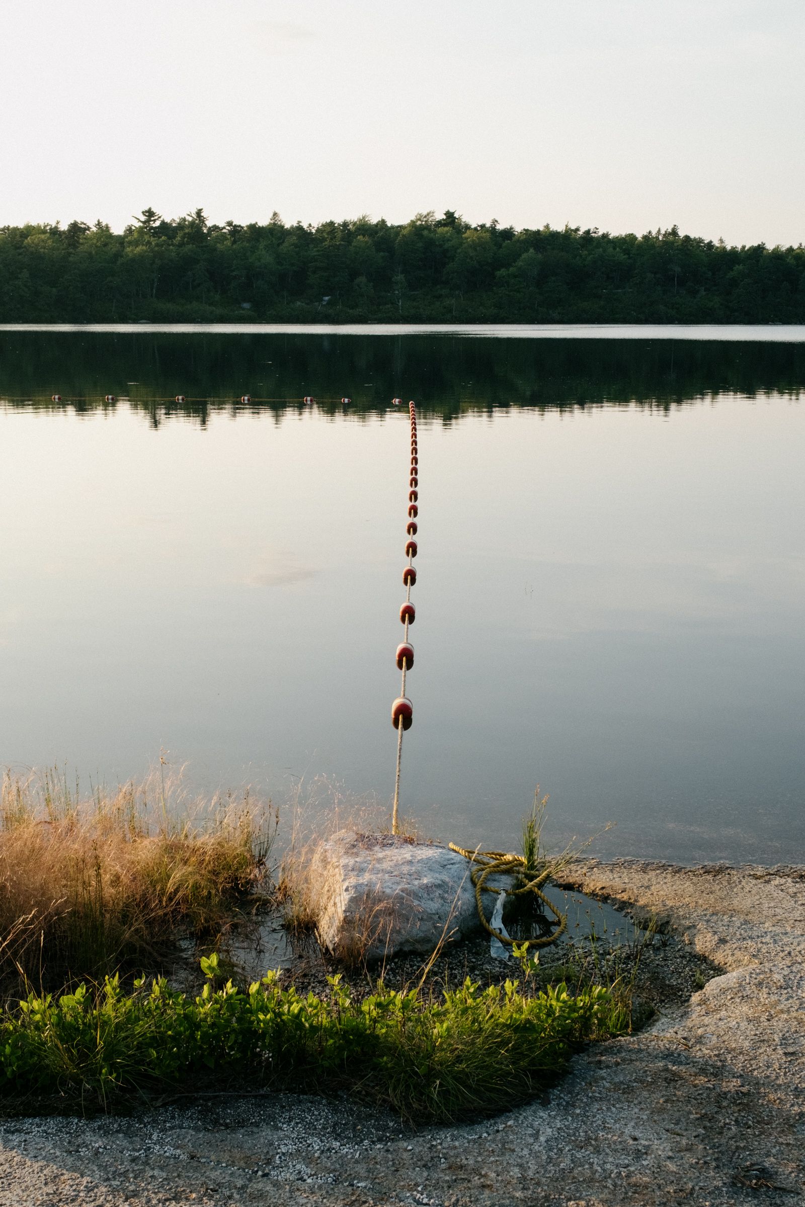 A rope strung with red-and-white buoys stretches from a lakeside rock out across still water at dusk, forested shoreline beyond.