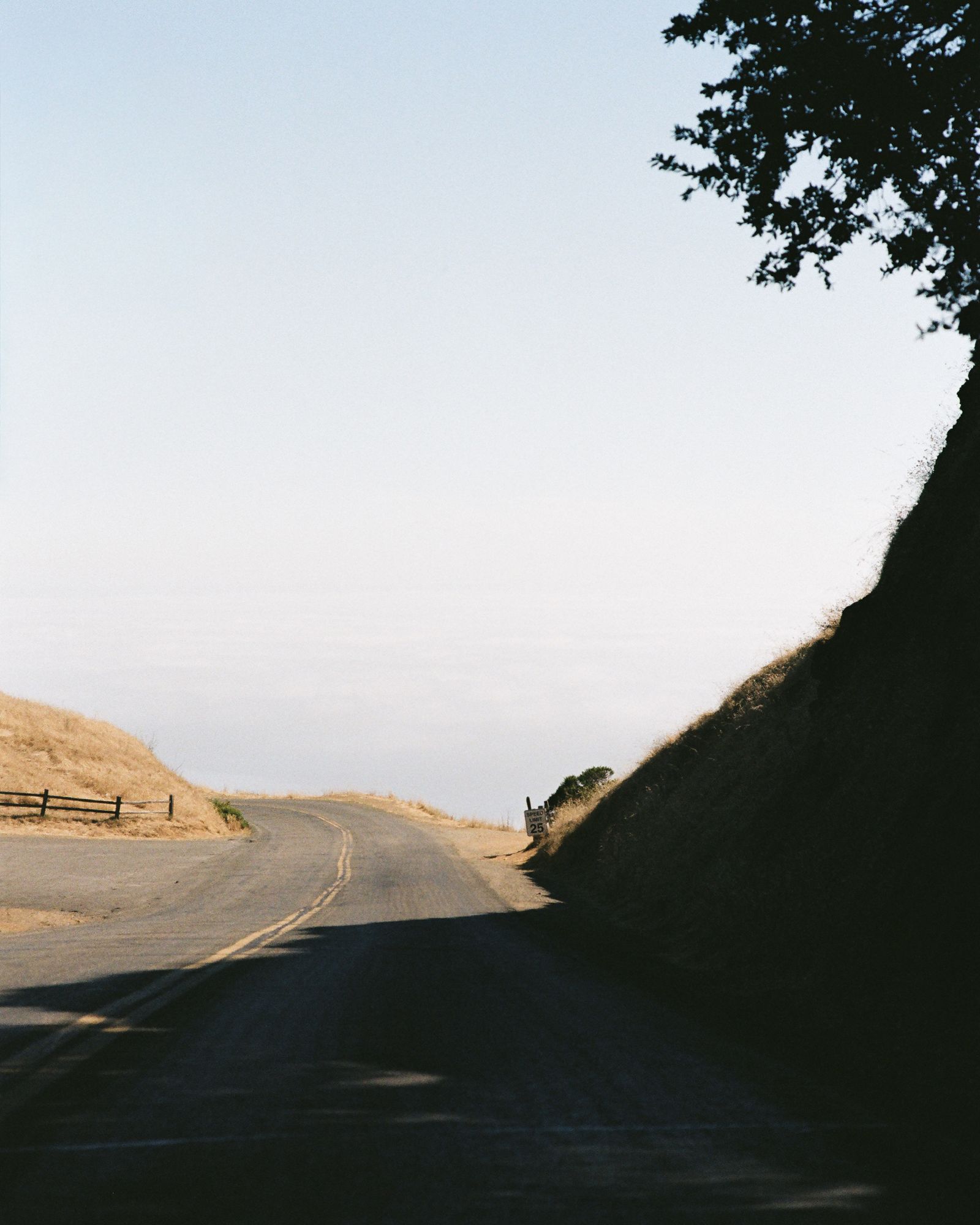 A two-lane road curves between a shadowed cut bank and a dry golden slope, running out toward a wall of white fog.