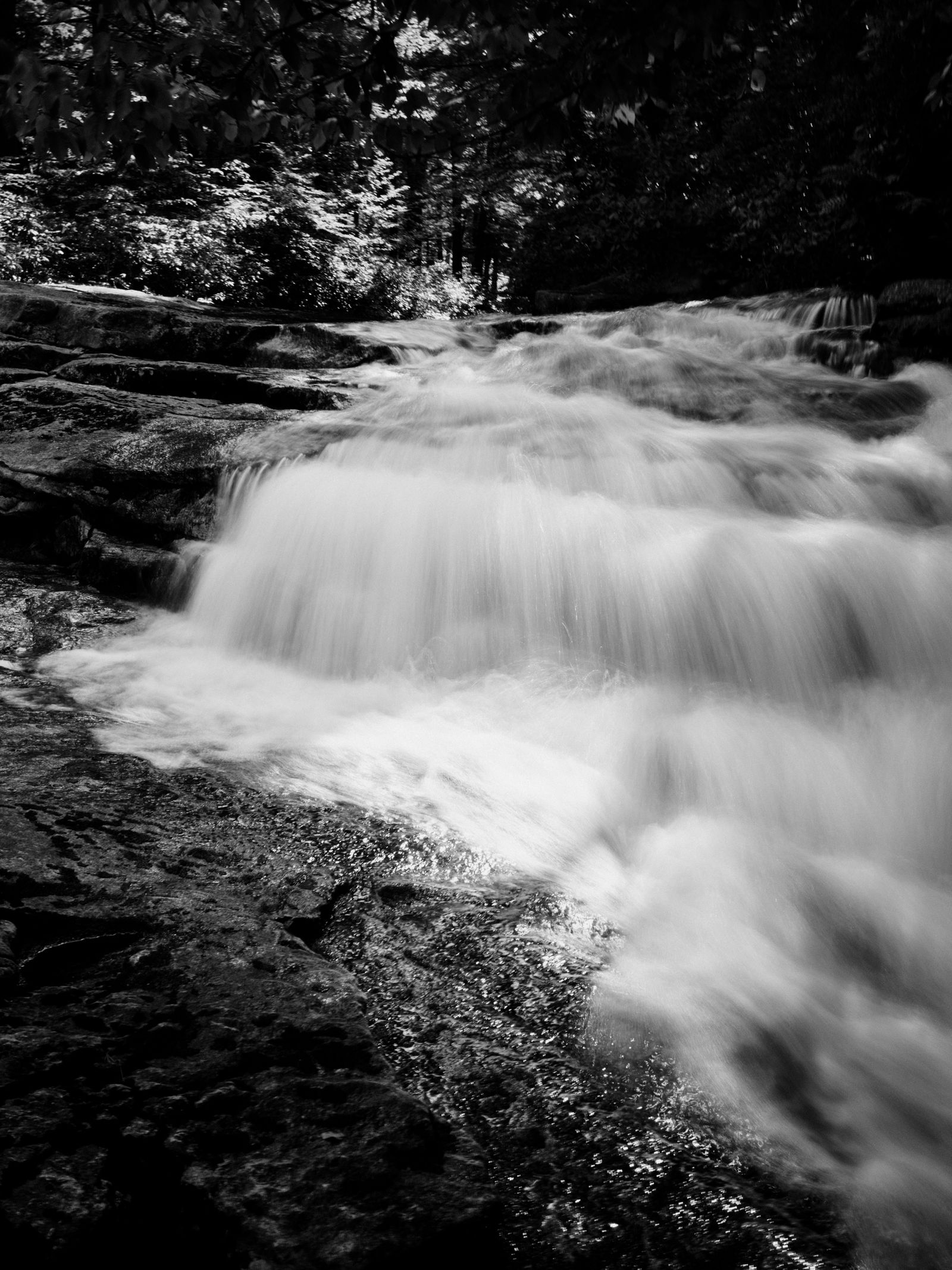 Black-and-white long exposure of a multi-tiered cascade tumbling over dark rock ledges in a dense forest.