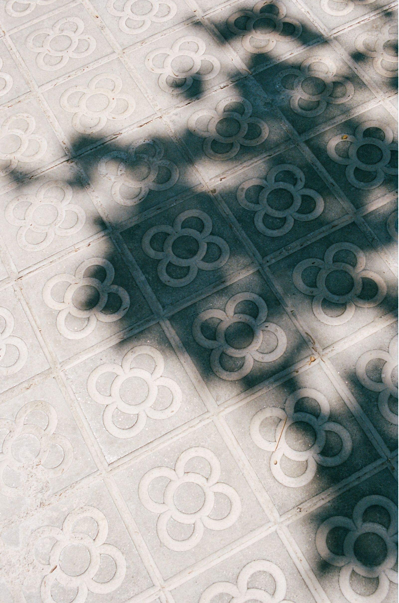 Dappled tree-branch shadows fall across sunlit ornamental floral-patterned stone paving tiles.
