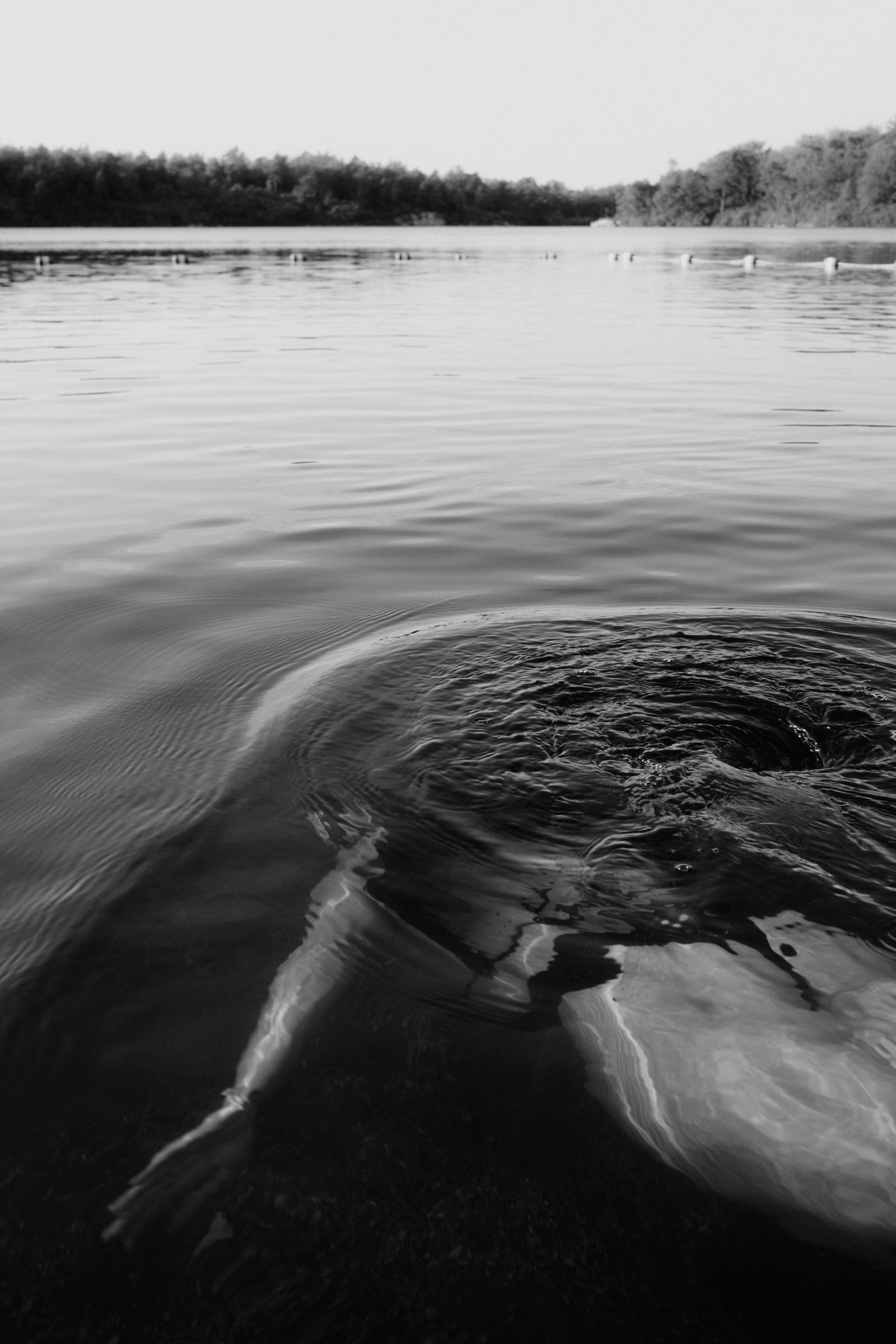 Black-and-white view across a still lake at dusk, a swimmer’s legs trailing just beneath the rippling surface near the shore.