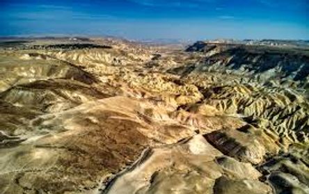 The Negev Desert