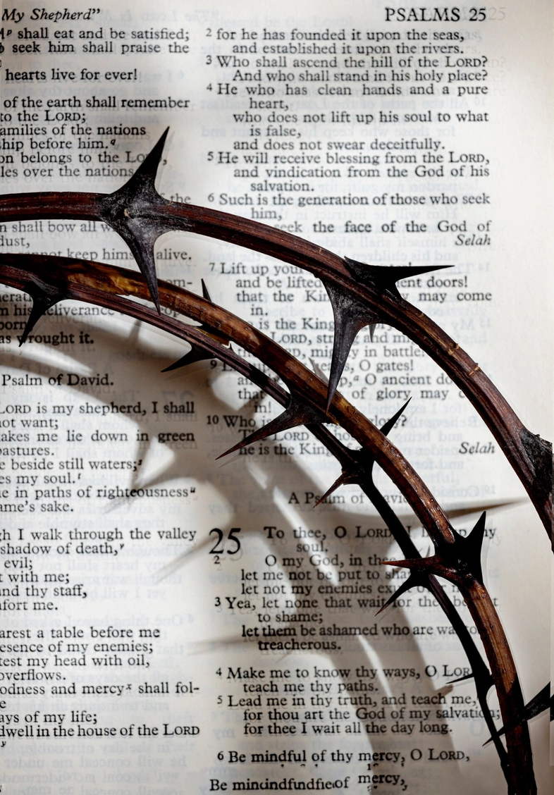 A crown of thorns resting on an open Psalter