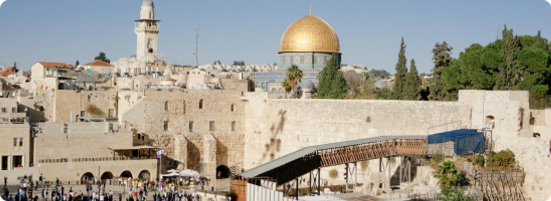 All entrance fees, transportation, and licensed tour guides