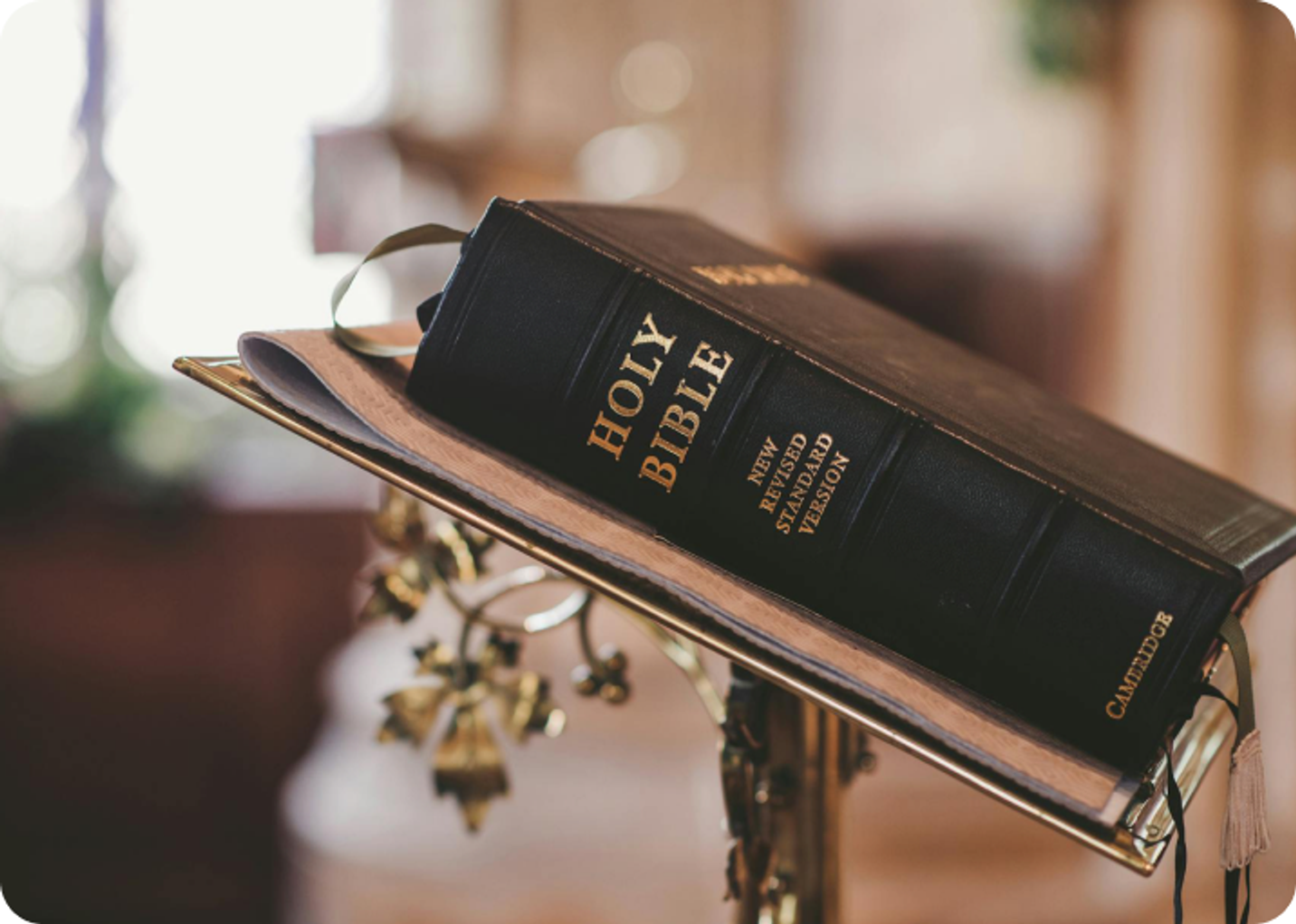An open Holy Bible