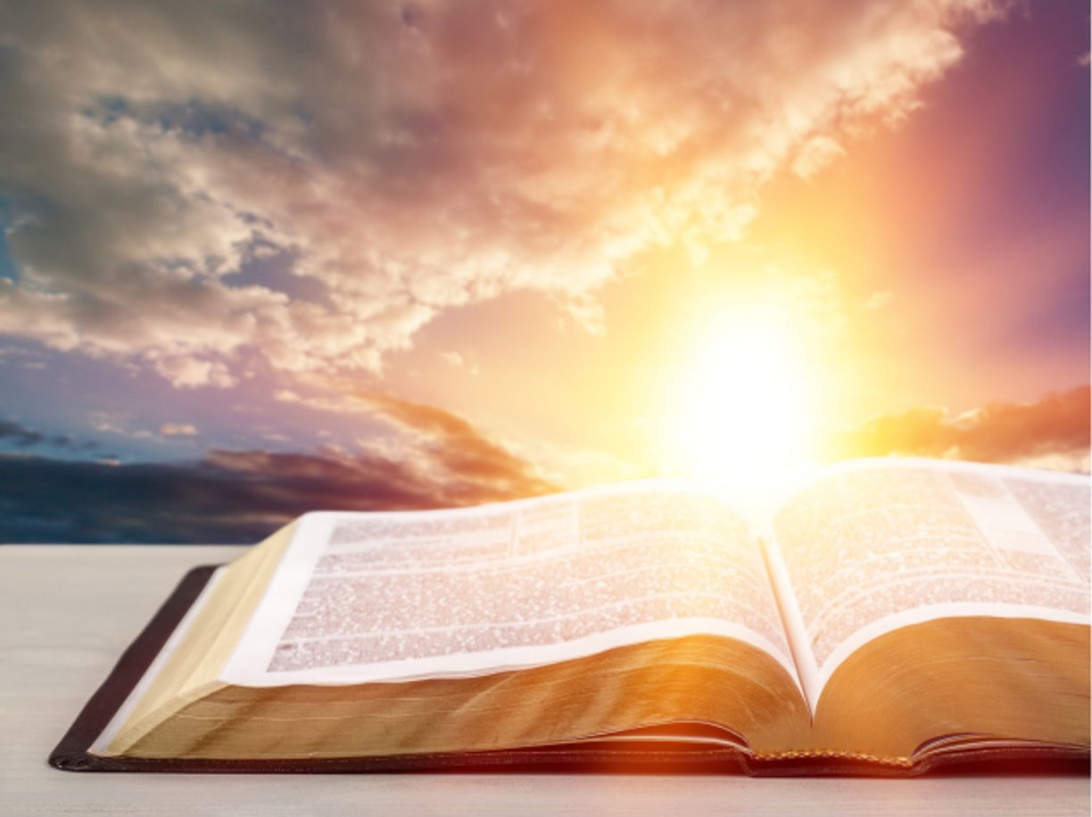 Studying Scripture together