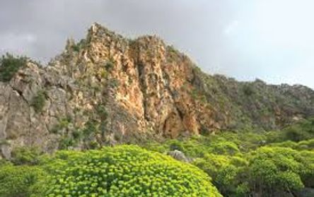 Mount Carmel