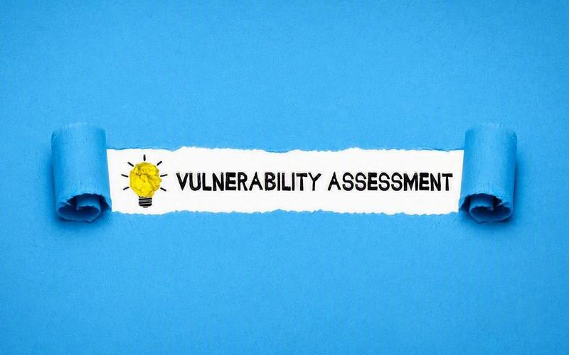 vulnerability assessment