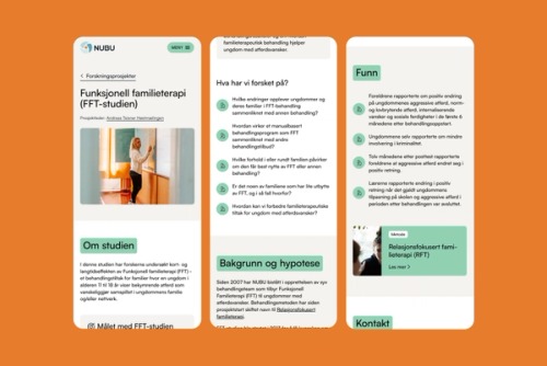 Visning av sidene for strukturert funksjonell familieterapi (FFT) på NUBU nettside
