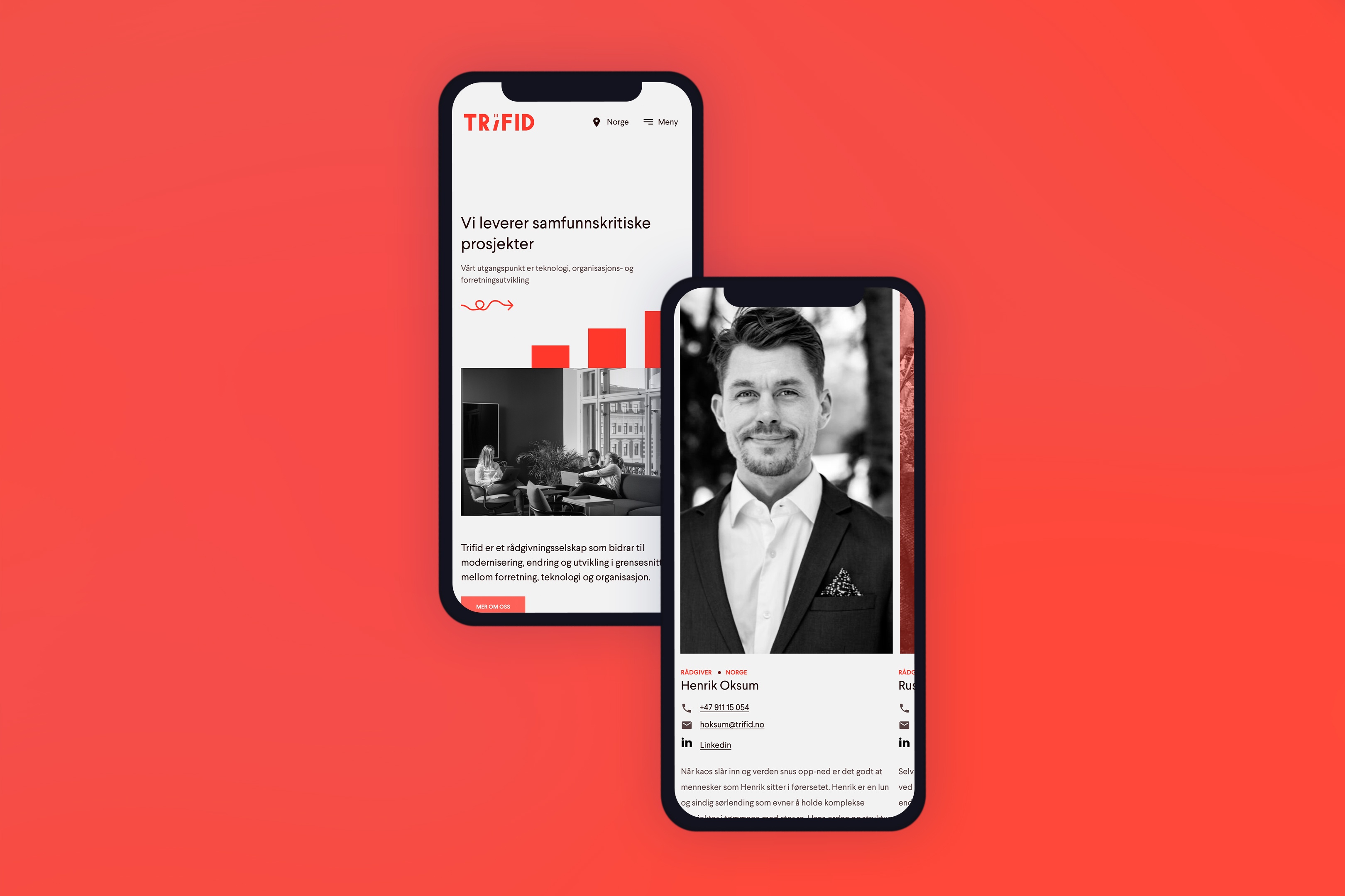 Trifid nettside på mobil. Grafikk.