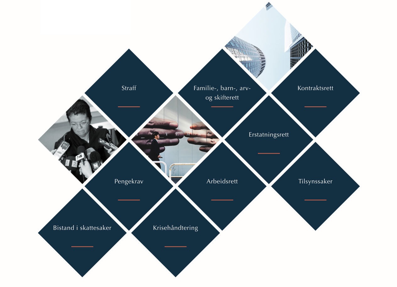 Et utsnitt fra advokatfirmaet AAV sin nettside med fagområder farget som diamenter