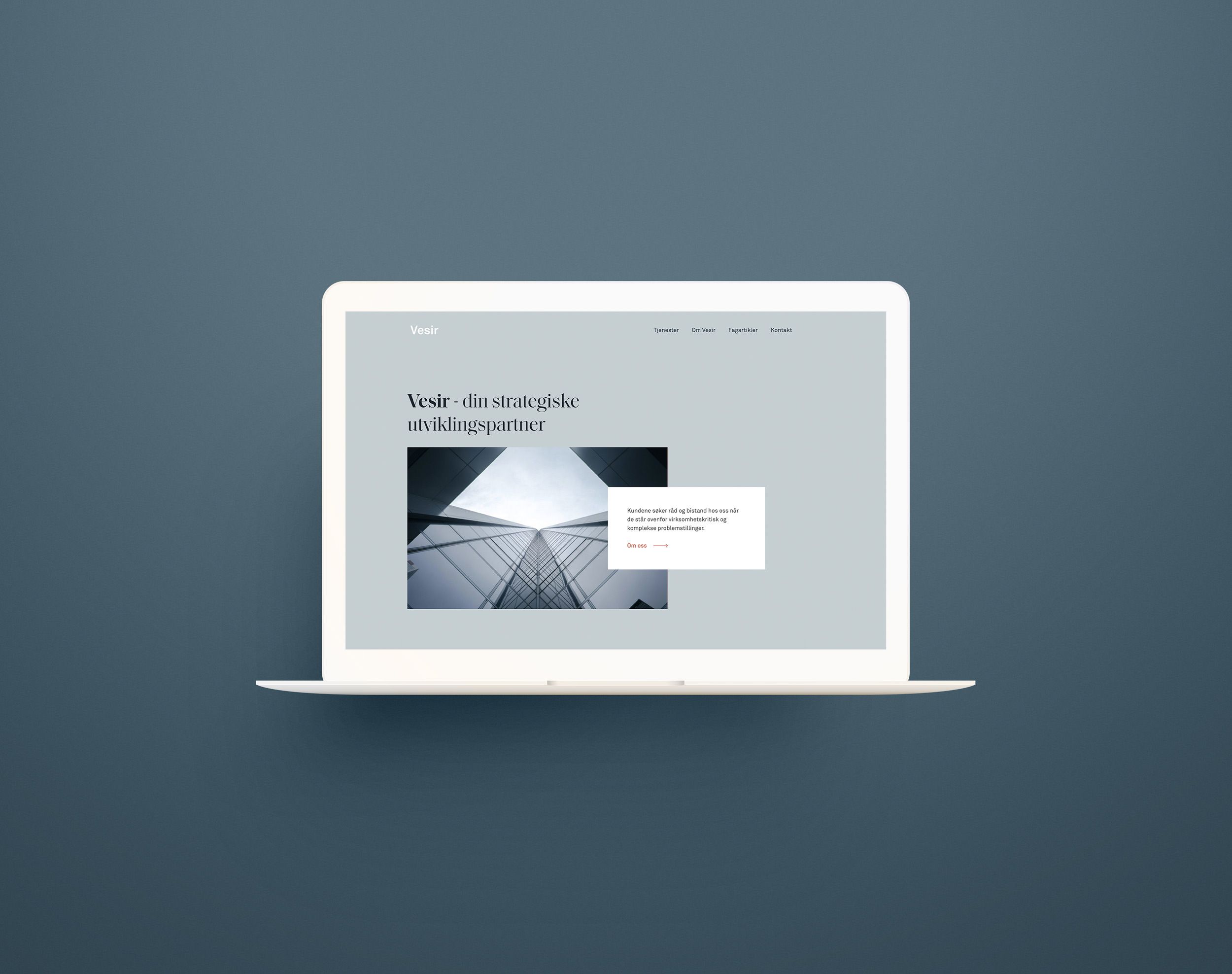 Screenshot fra forsiden til Vesir sin nettside. 