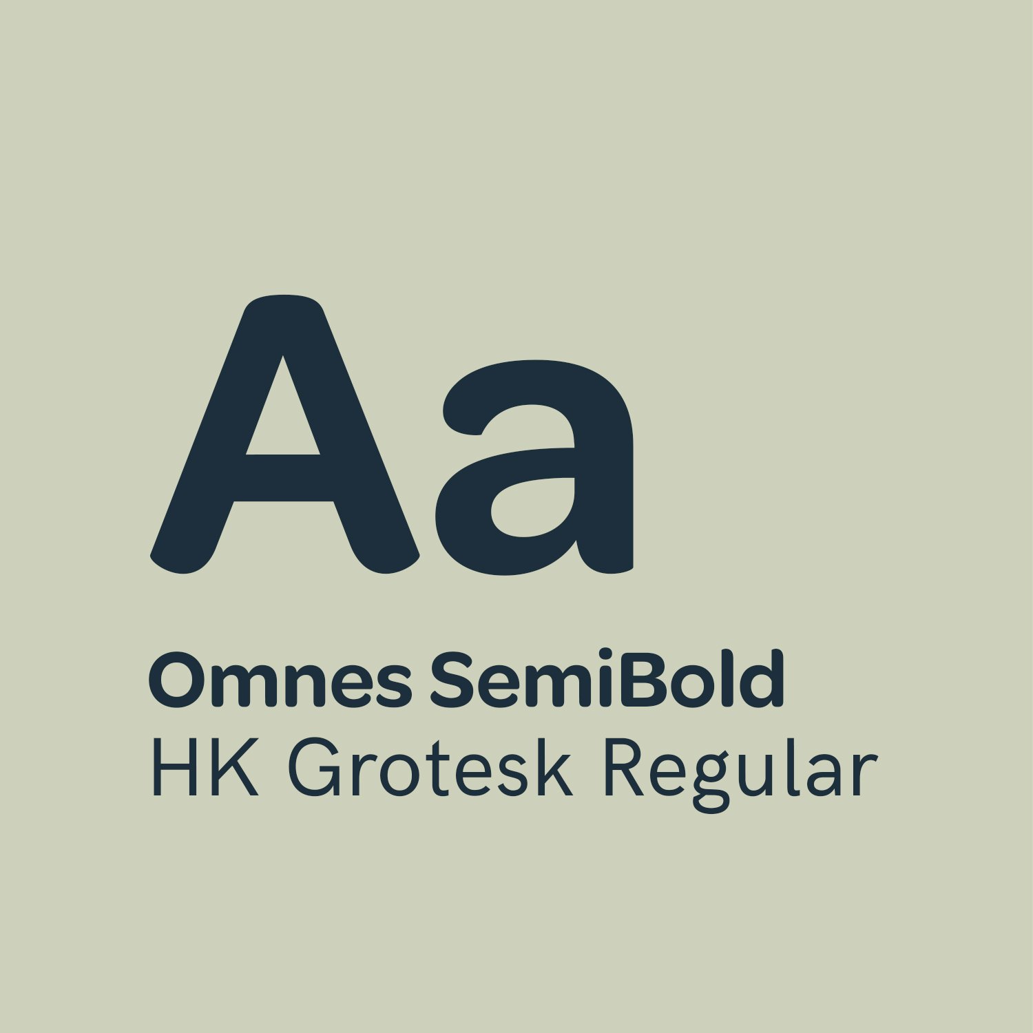 Fontene til Drage i magen. Omnes Semibold og HK Grotesk Regular. Grafikk.