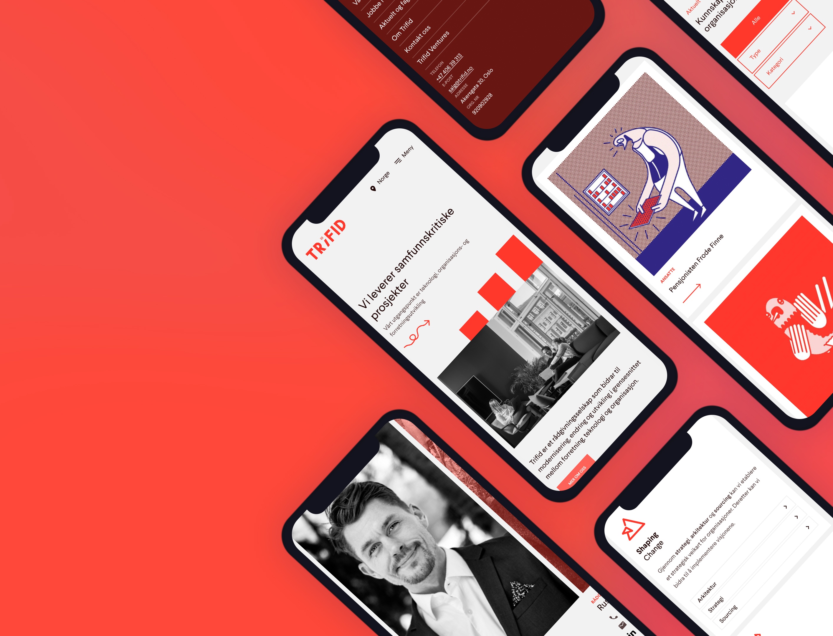 Utdrag fra nettsiden til Trifid. Grafikk.