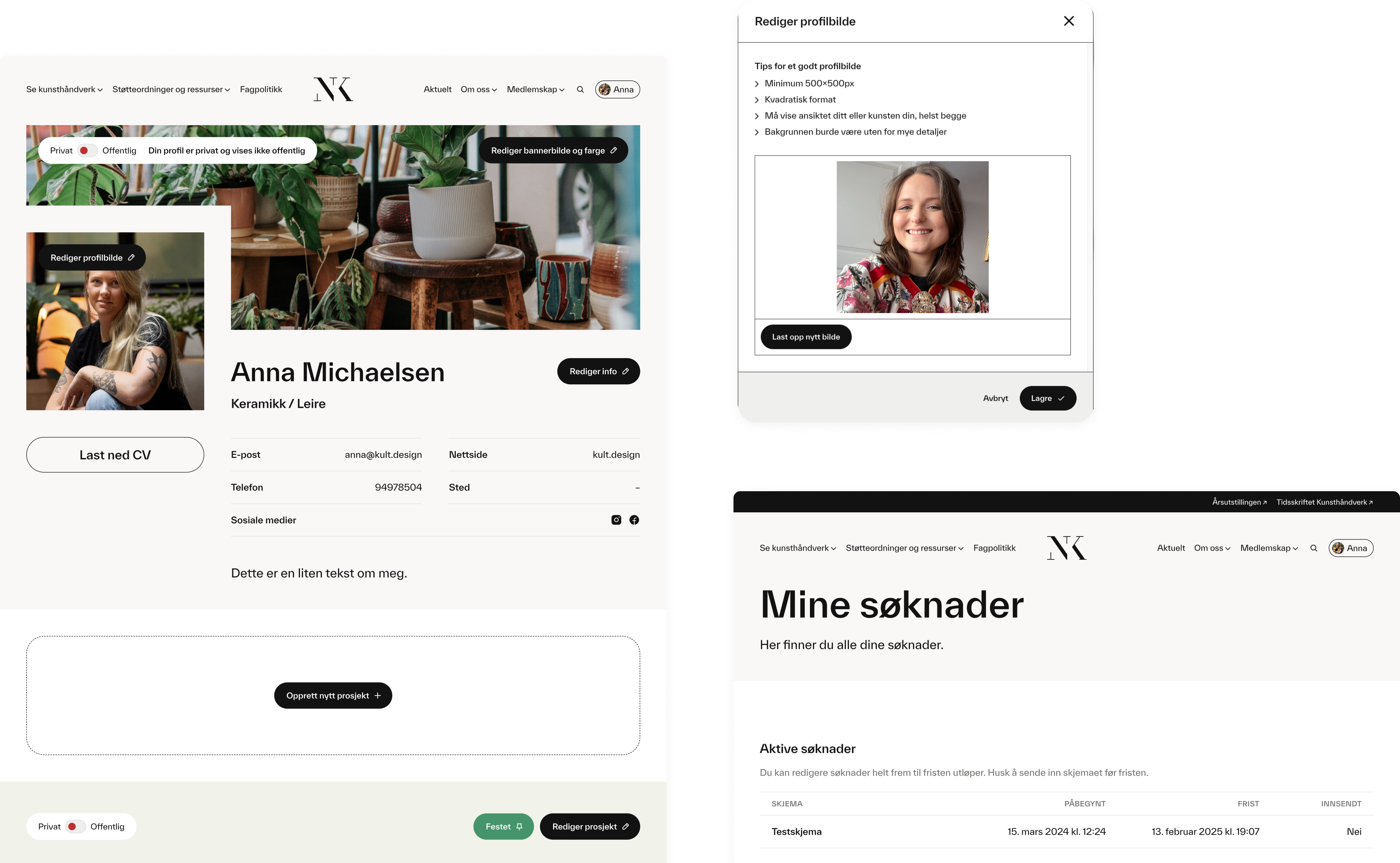 a screenshot of anna michaelsen 's profile page