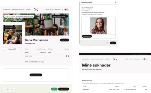 a screenshot of anna michaelsen 's profile page