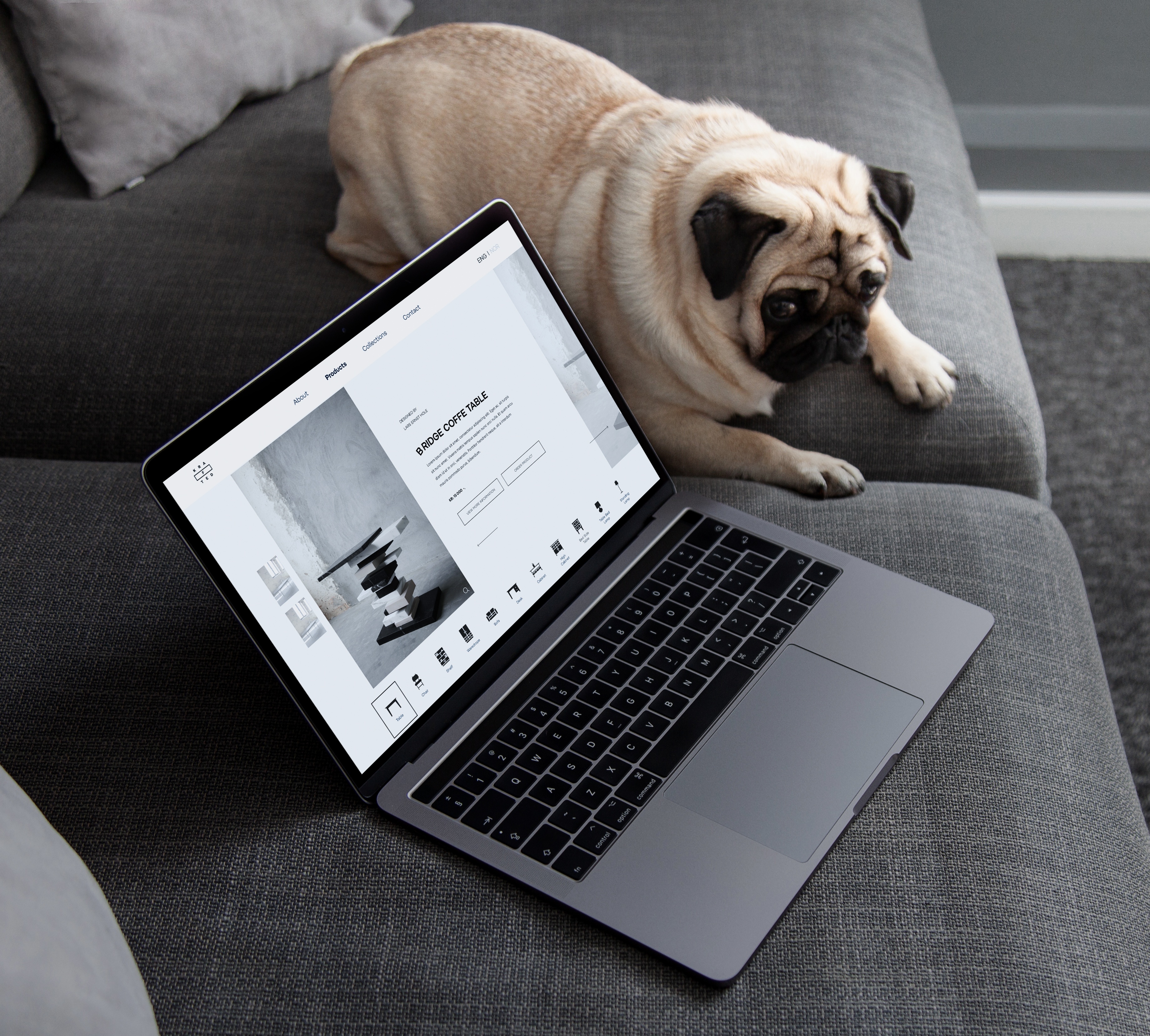 En hund som ligger på sofaen og ser på en mac som har nettsiden til Krafted oppe. Foto