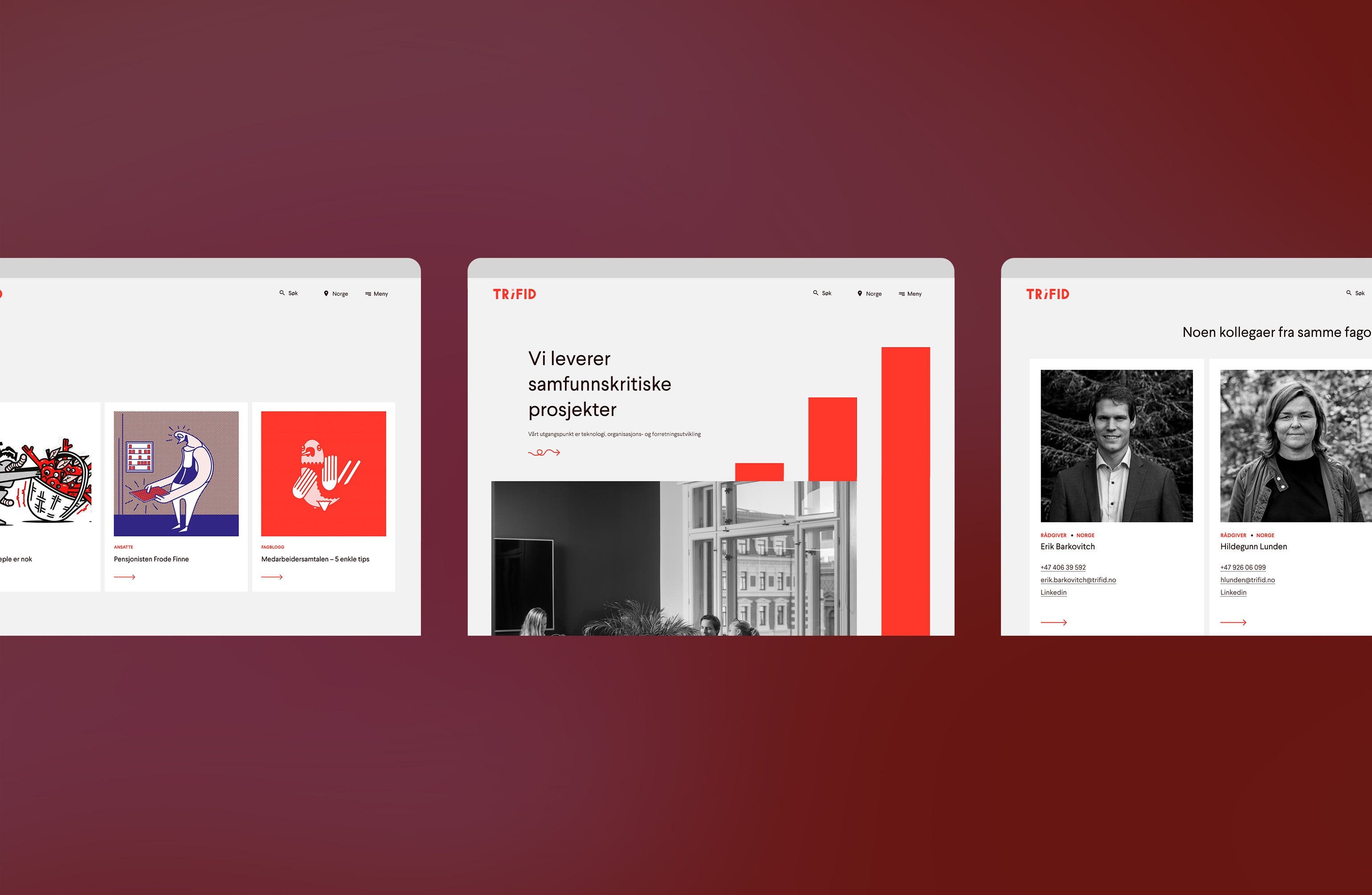 Utdrag fra nettsiden til Trifid. Grafikk.