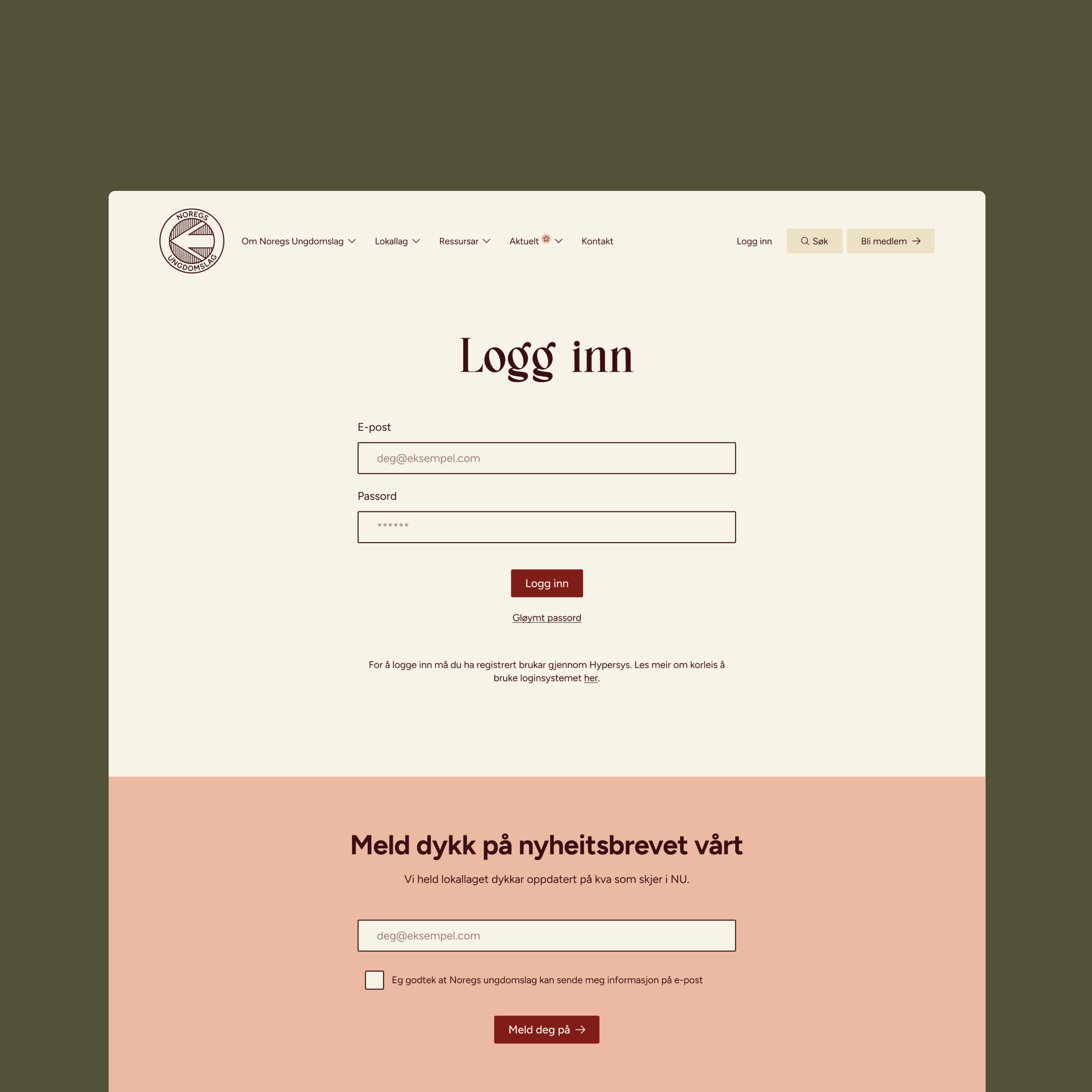 a log in page for a website called logg inn
