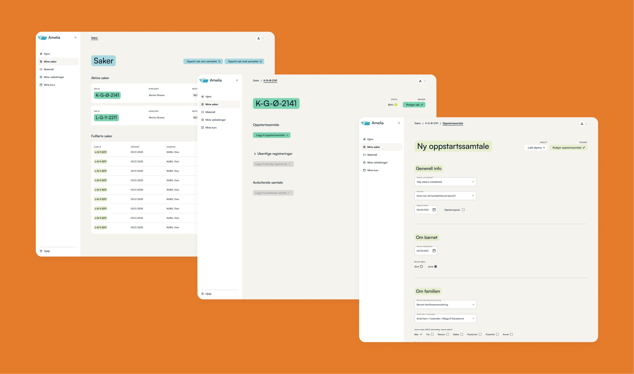 Oversikt over Amelia fagsystemets brukergrensesnitt og designelementer