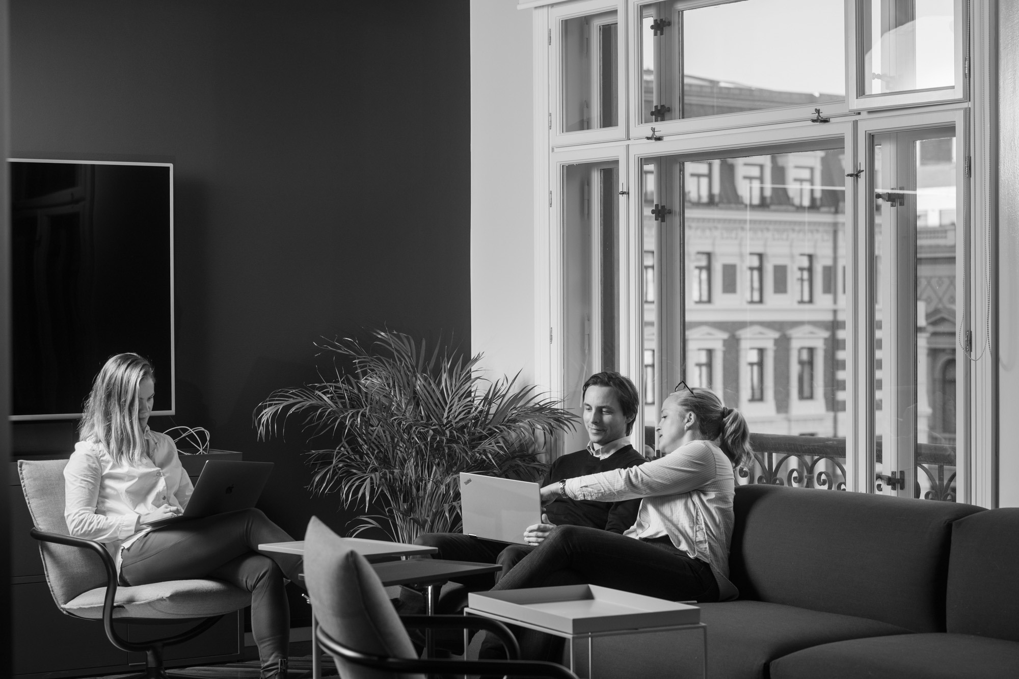 Kontorbilder i svart/hvitt hos Trifid. Foto.