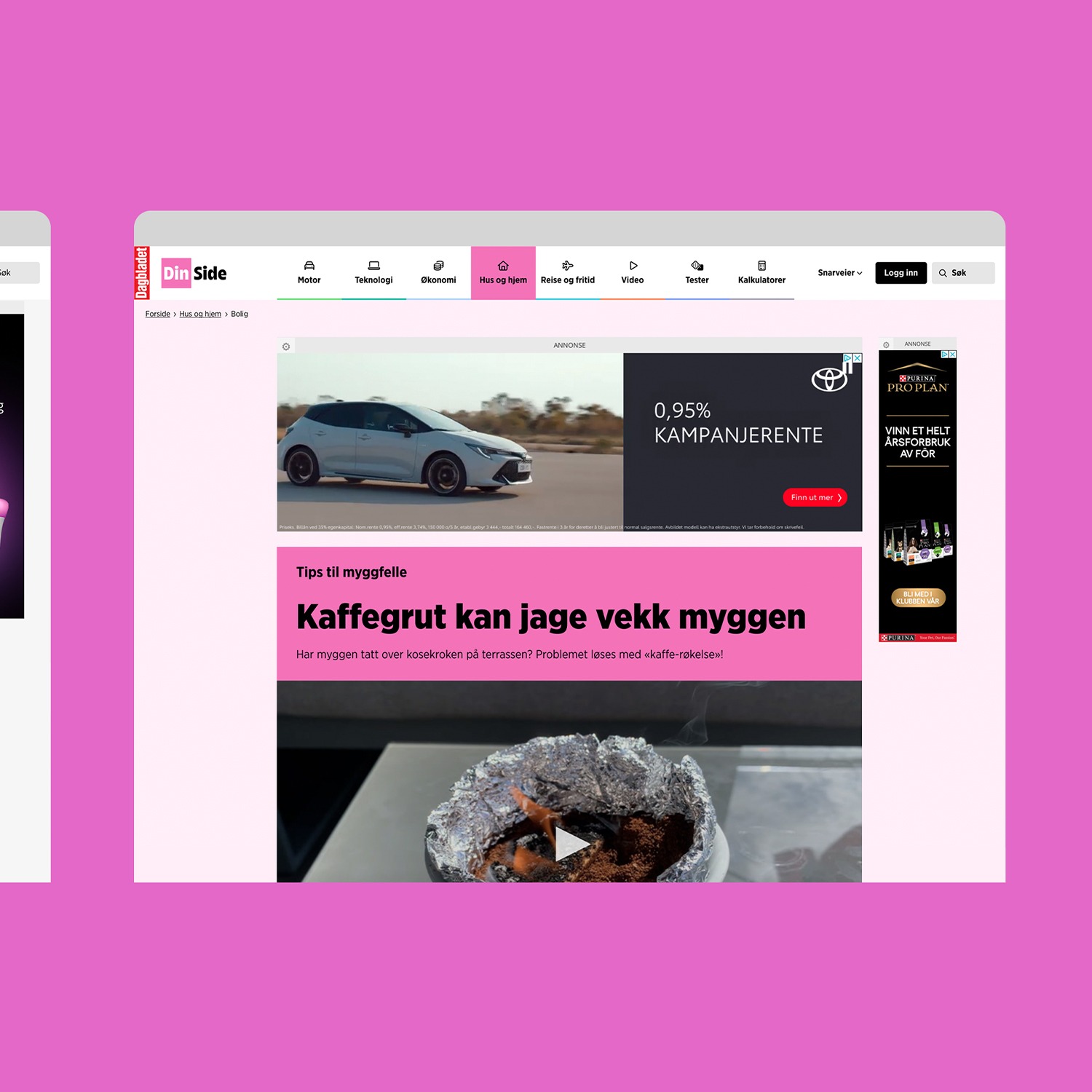 Utdrag fra nettsiden til DinSide. Grafikk.