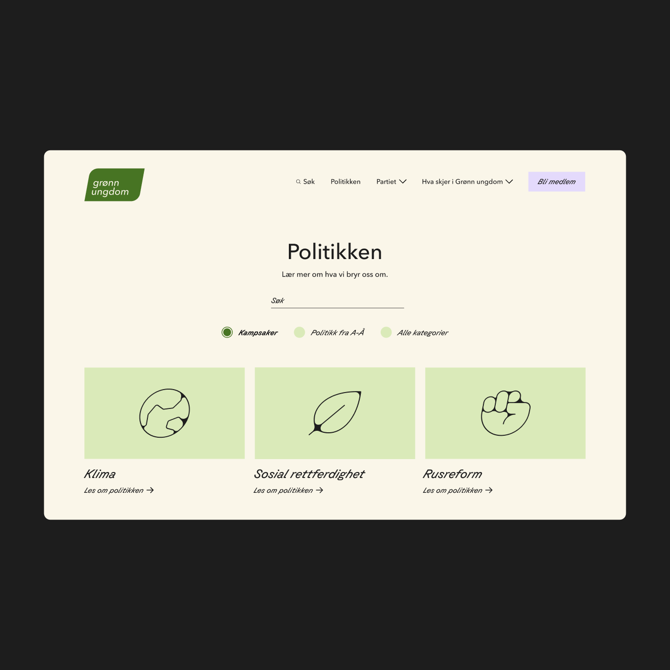 Skjermbilde av siden "Politikken"