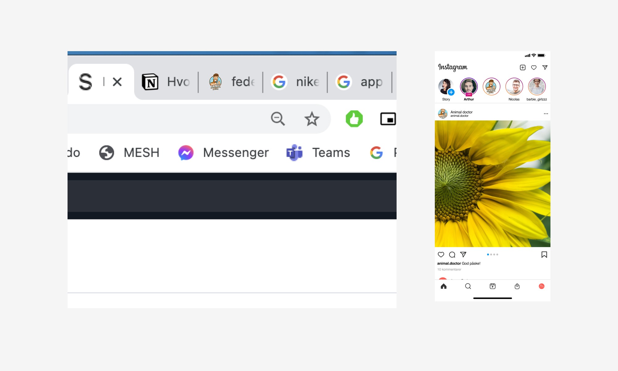 Bilde av tabs i Chrome. Viser at veterinær-logoen som favicon nesten er umulig å se, sammenlignet med Notion eller Google sin logo. Samme gjelder når logoen vises som thumbnail på Instagram stories. 