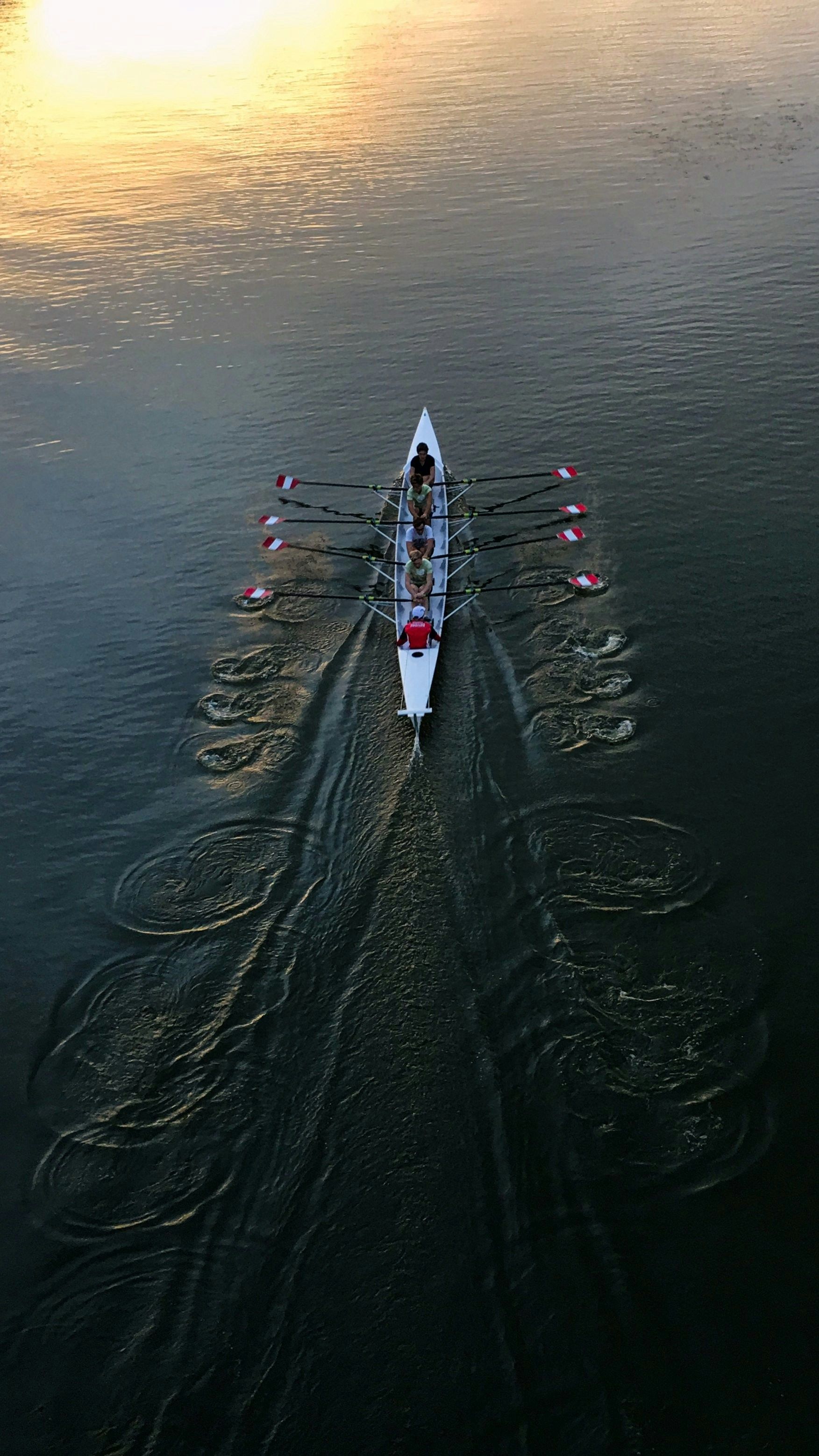 a group of people are rowing a boat in the water