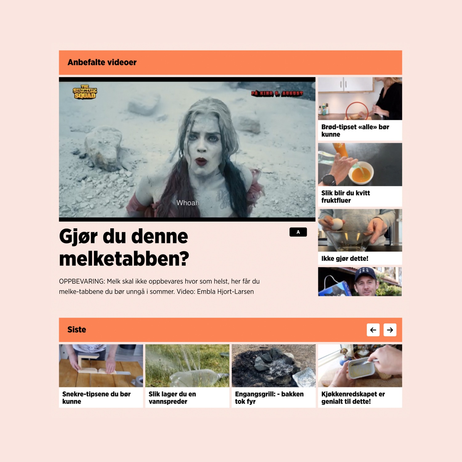 Utdrag fra nettsiden til DinSide. Grafikk.