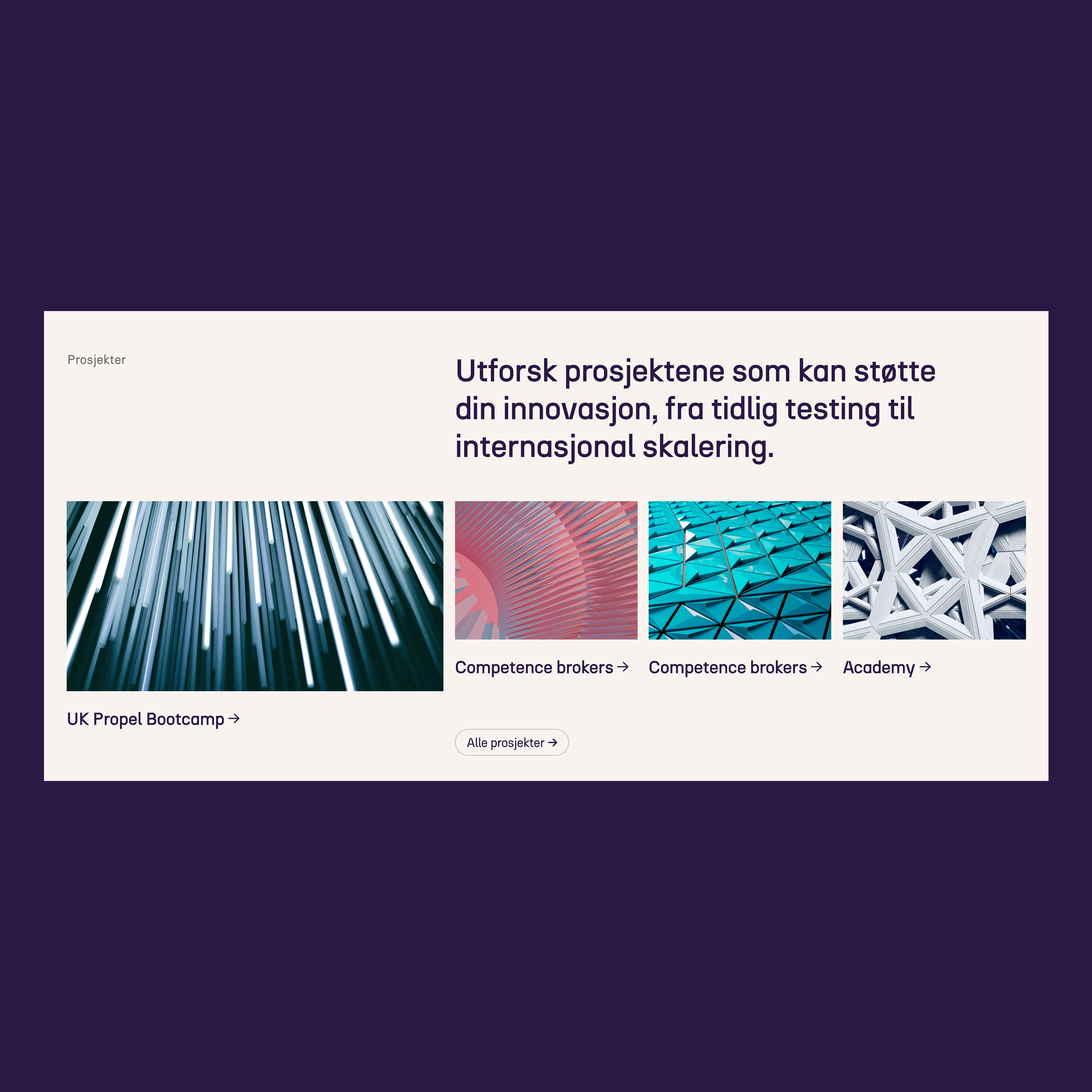 a purple background with the words uk propel bootcamp on it