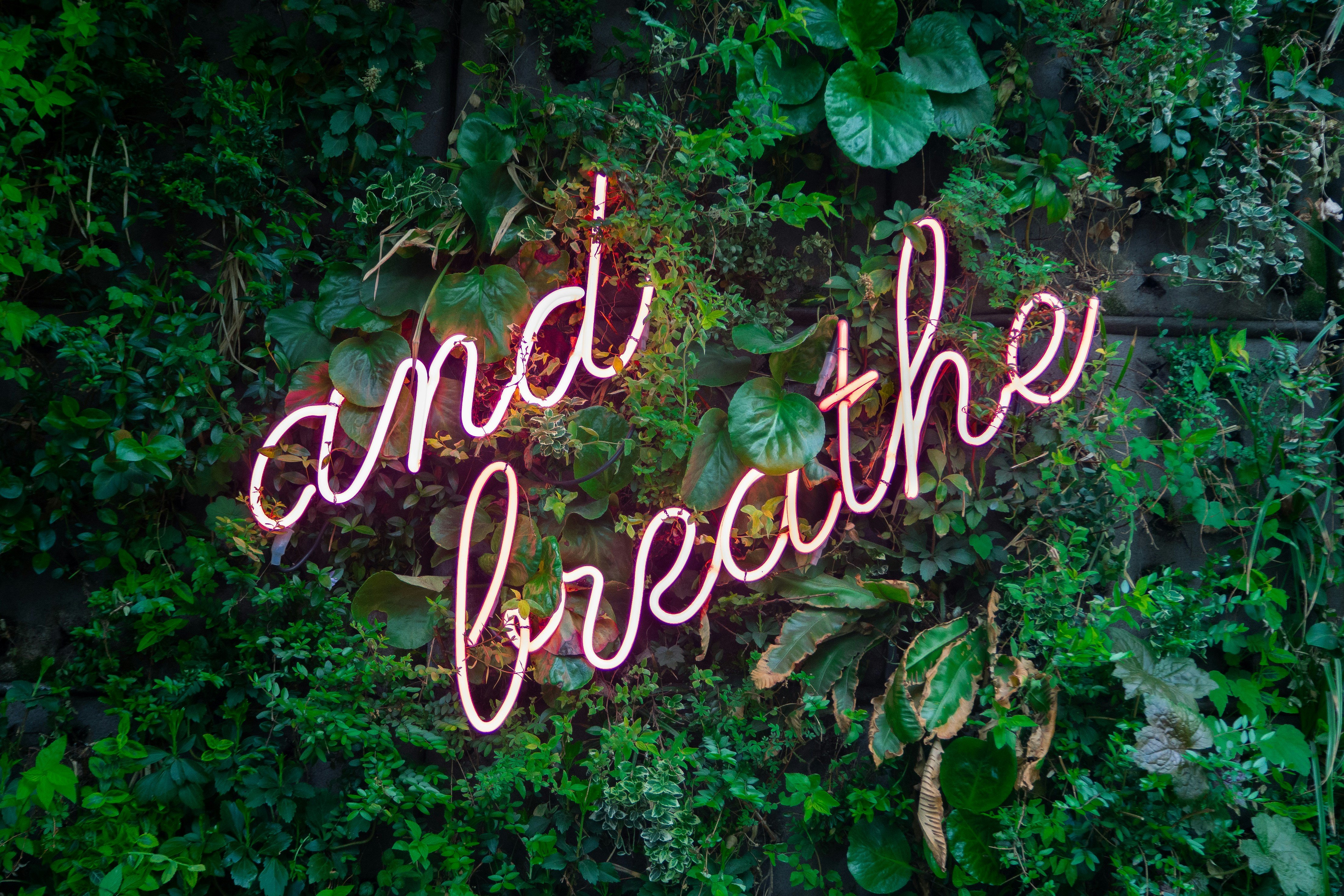 En vegg med planter der det står "and breathe"