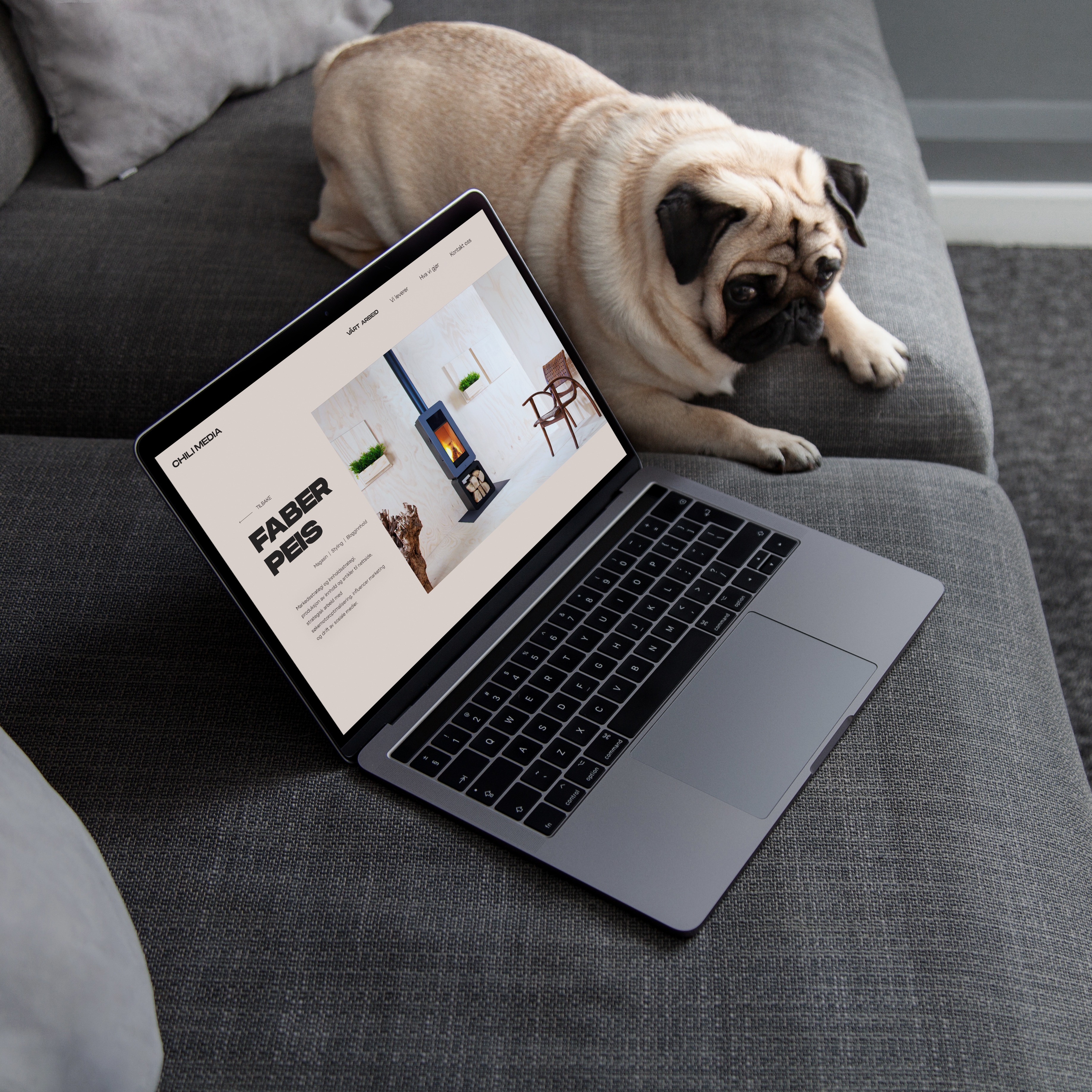 Hund i sofa med laptop ved siden av seg. Foto