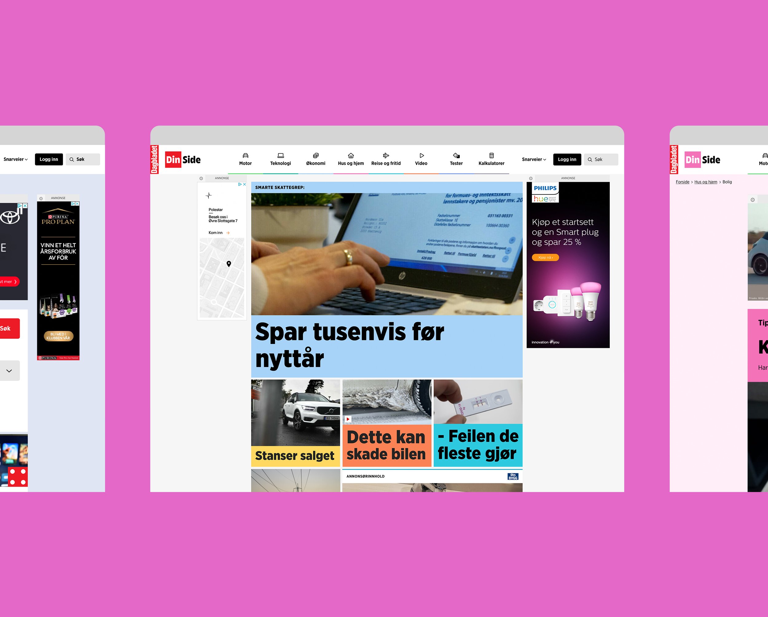 Utdrag fra nettsiden til DinSide. Grafikk.