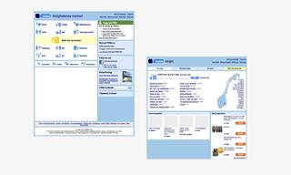 Skjermbilder fra Finn.no i 2010. Designet har forandret seg mye siden den tid. Bilde.