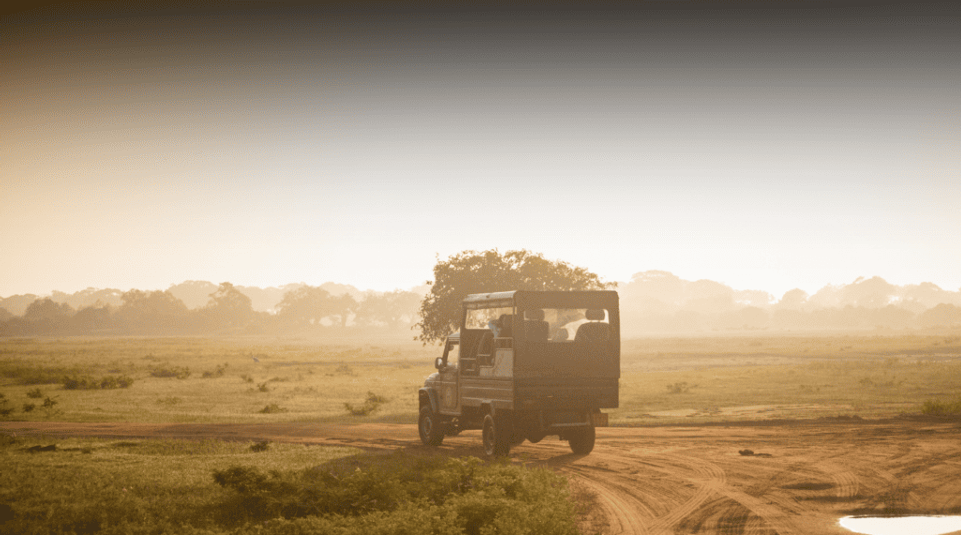 Tropical Amour Retreat